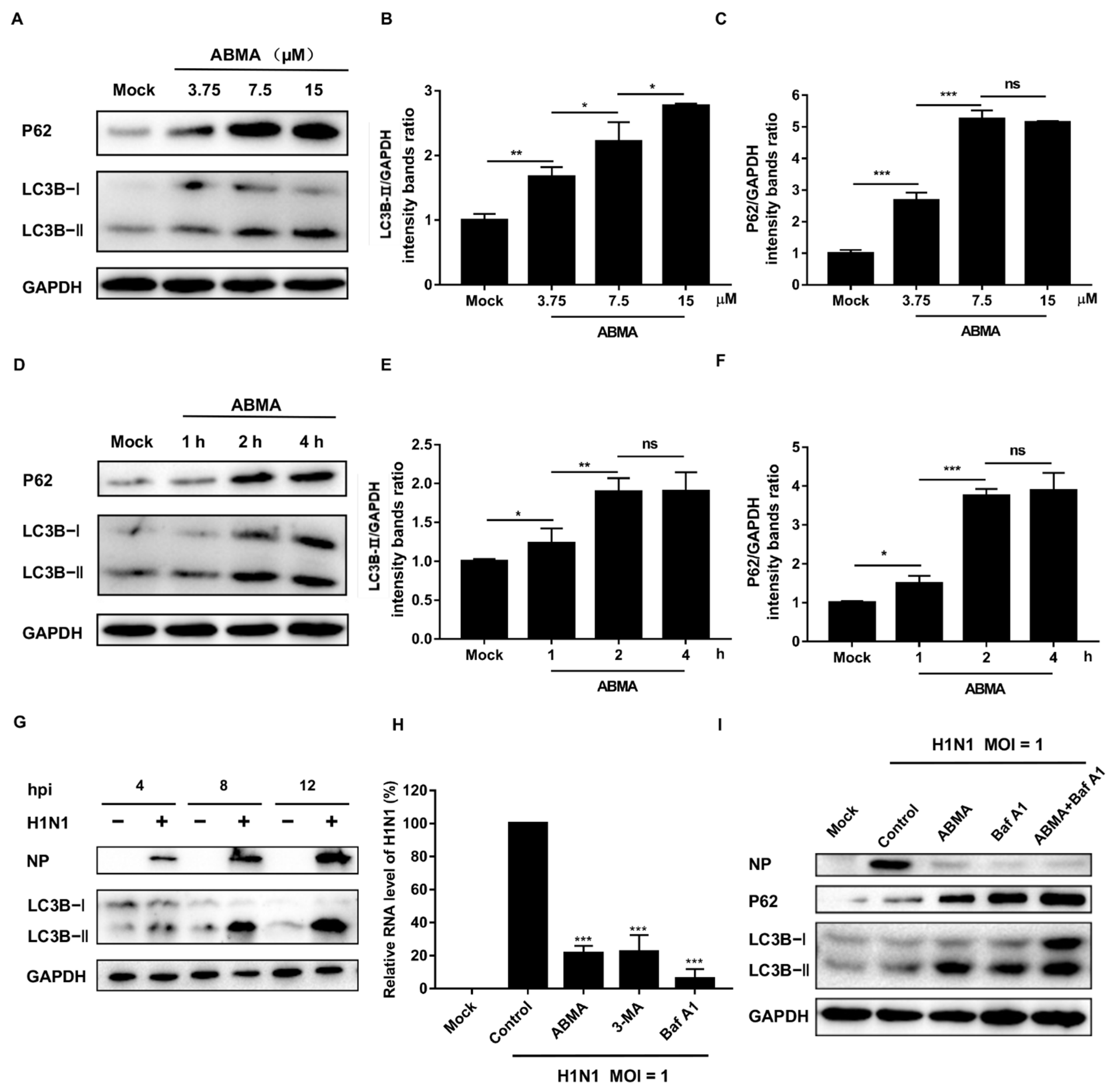 Ijms 23 03940 g005 Ijms 23 03940 g005