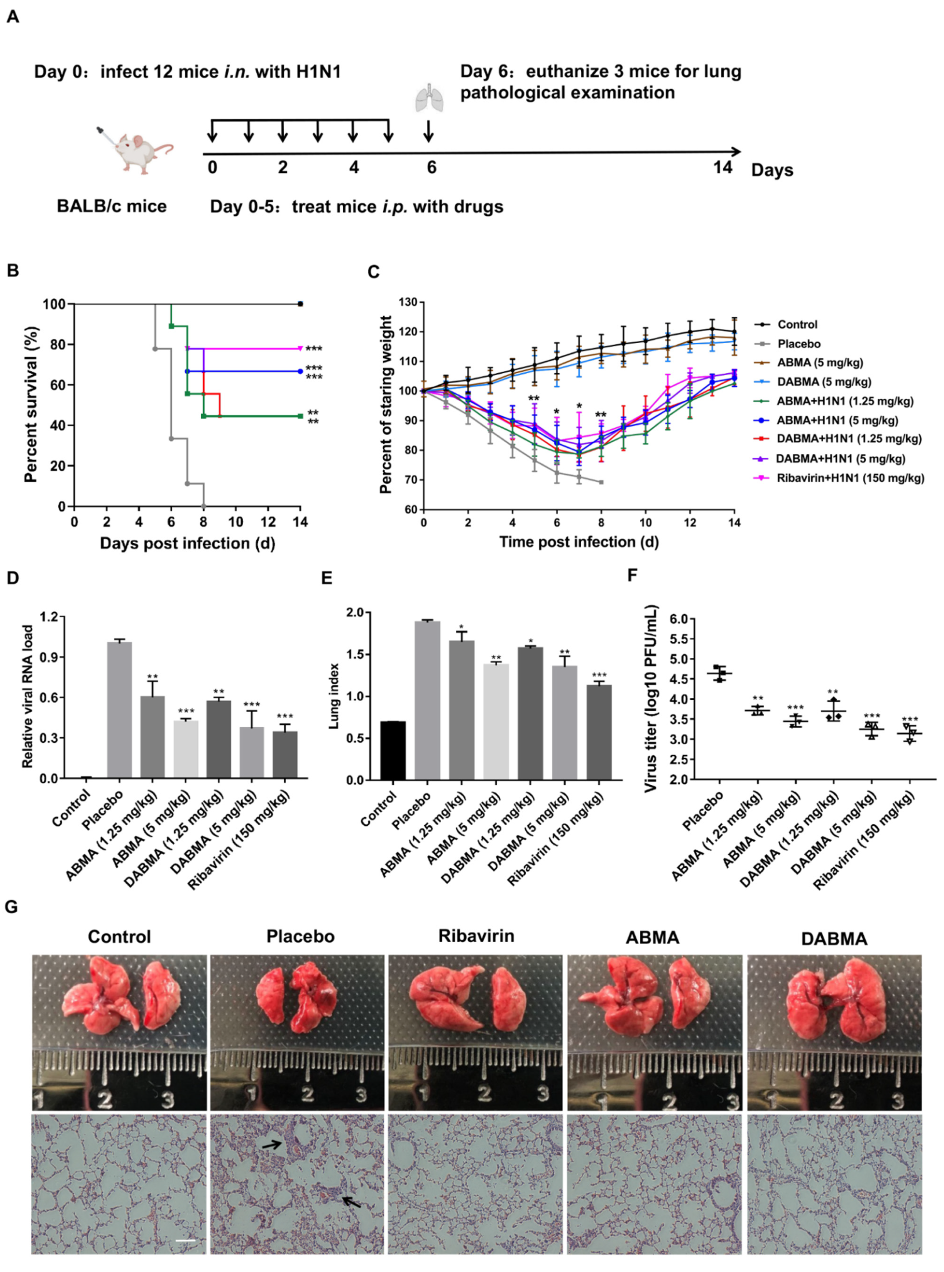 Ijms 23 03940 g006 Ijms 23 03940 g006