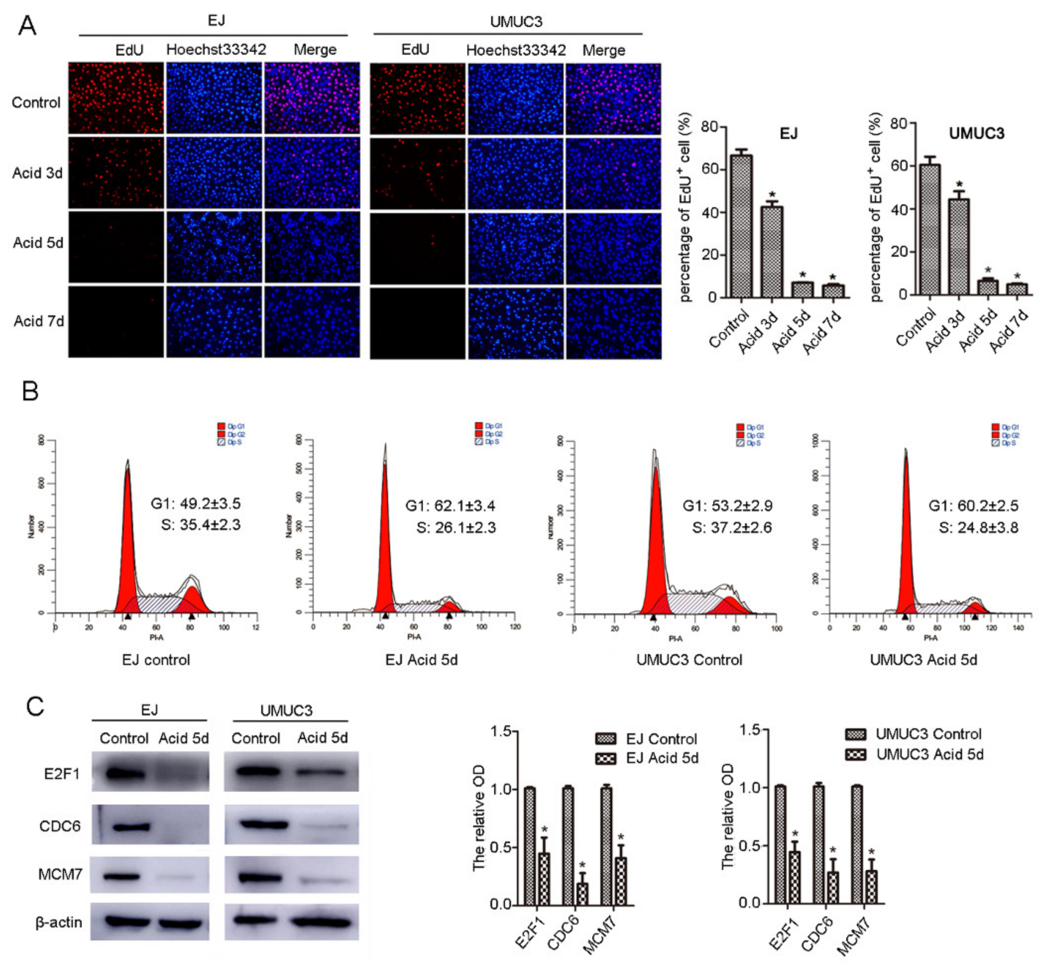 Ijms 23 03944 g001 550