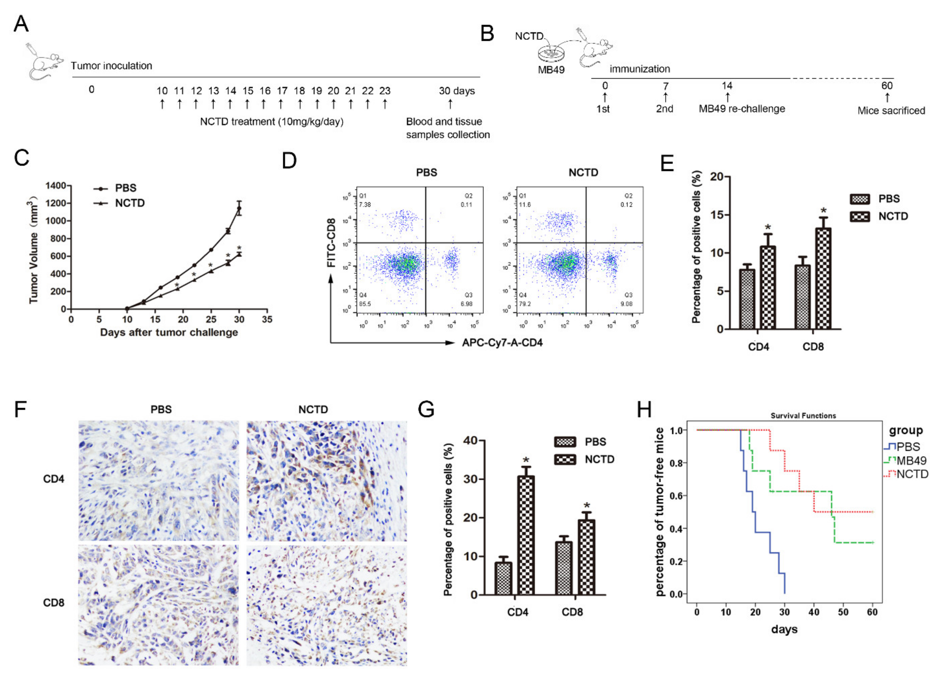 Ijms 23 03944 g008 550