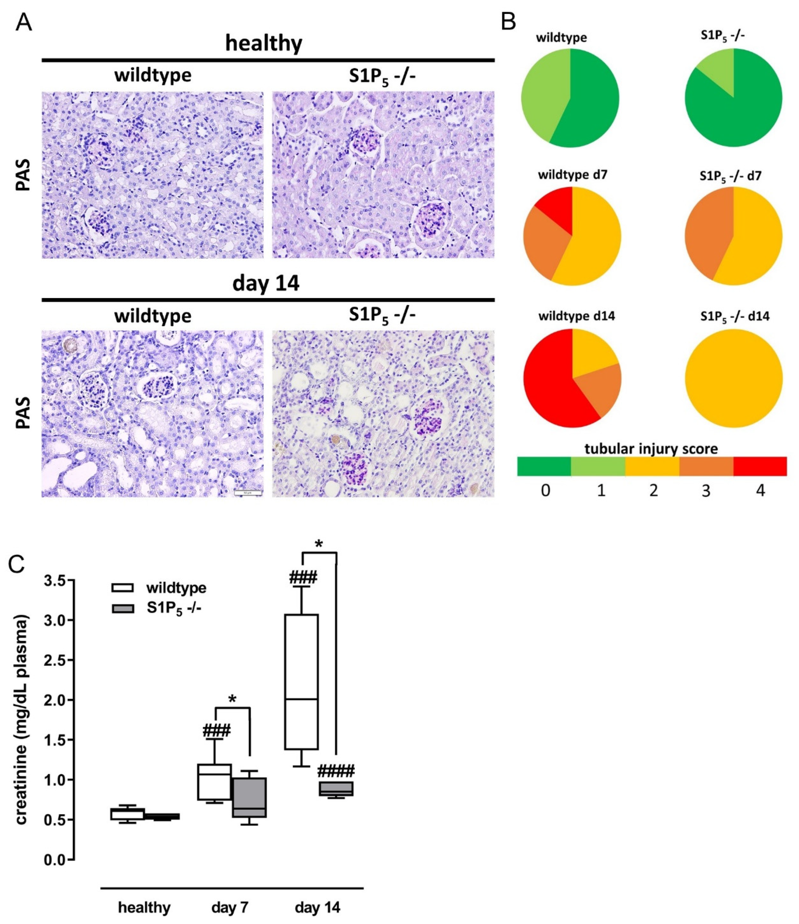 Ijms 23 03952 g002 Ijms 23 03952 g002