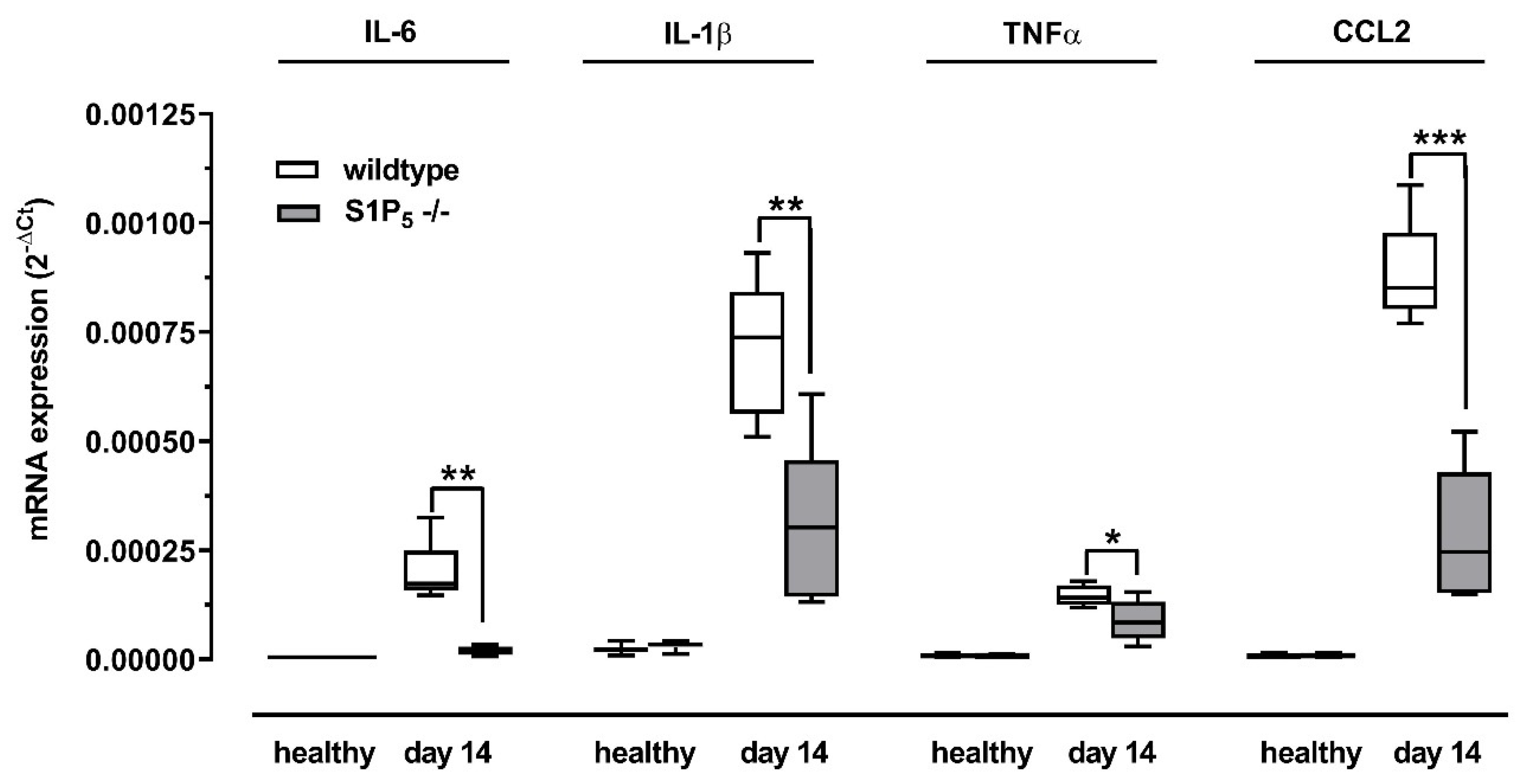 Ijms 23 03952 g004 Ijms 23 03952 g004