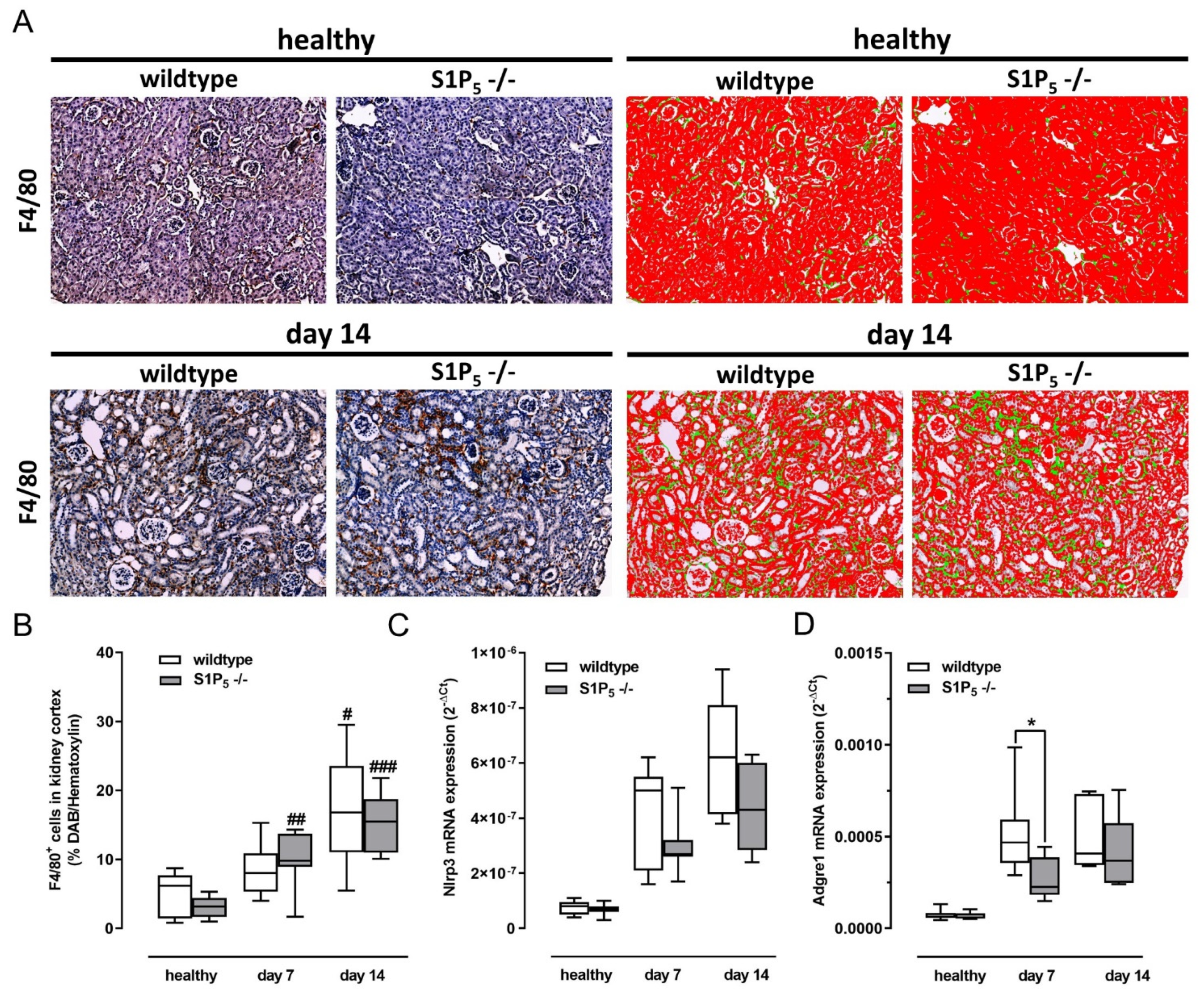 Ijms 23 03952 g005 Ijms 23 03952 g005
