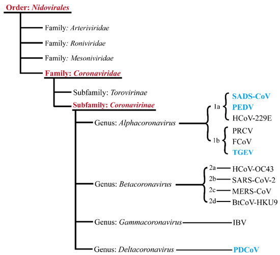 IJMS | Free Full-Text | Swine Enteric Coronavirus: Diverse 