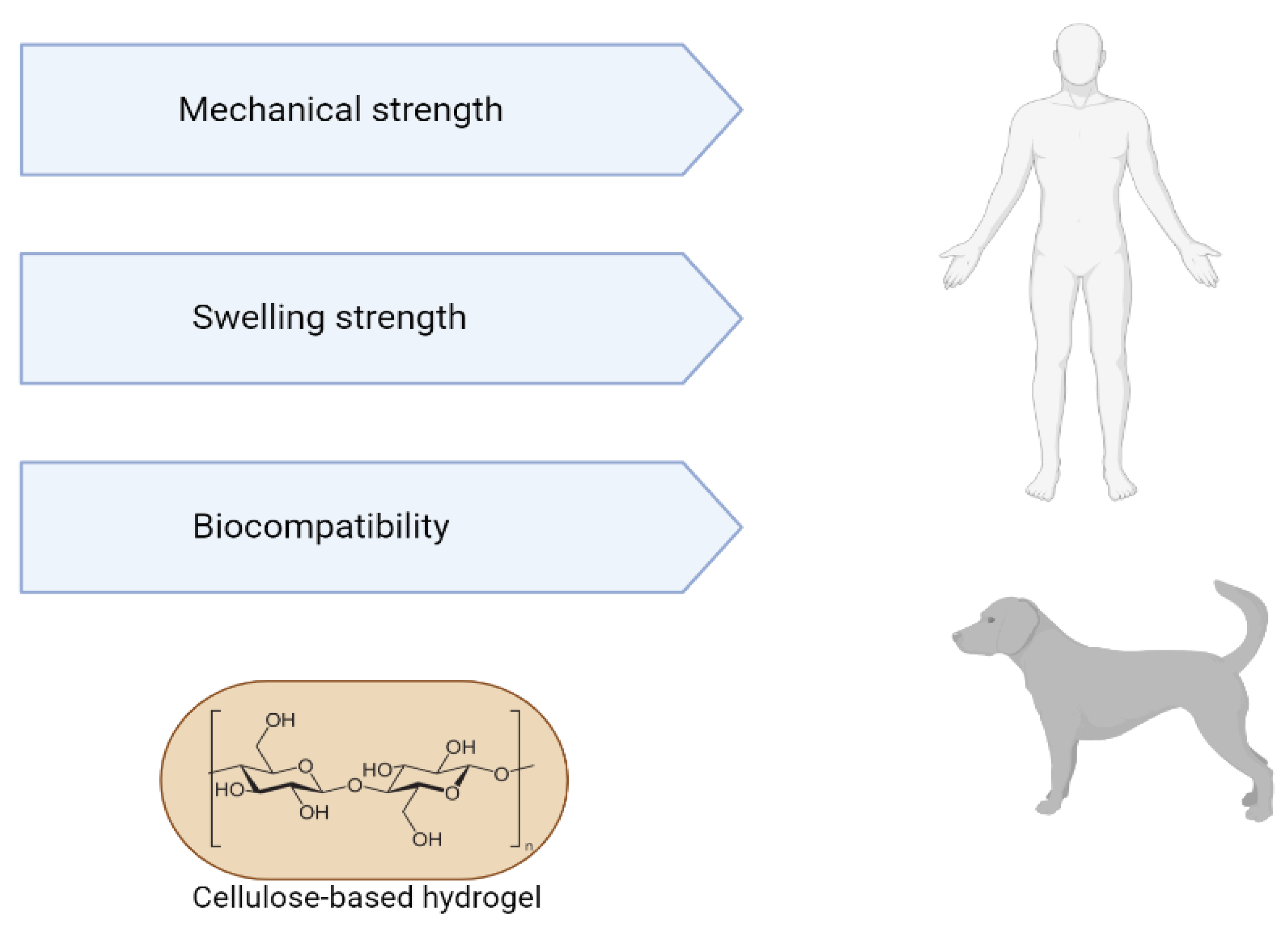 Ijms 23 03955 g003 550