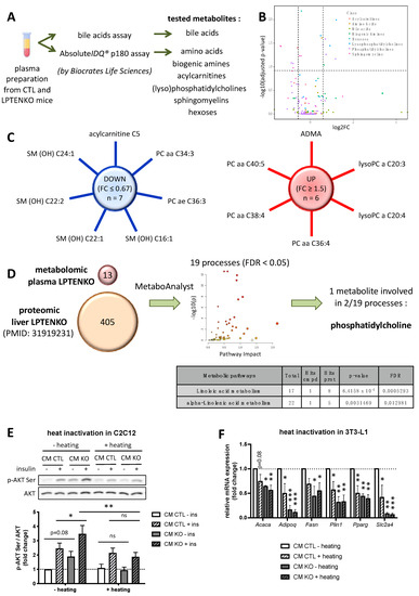 Hepatic PTEN Signaling Regulates Systemic Metabolic