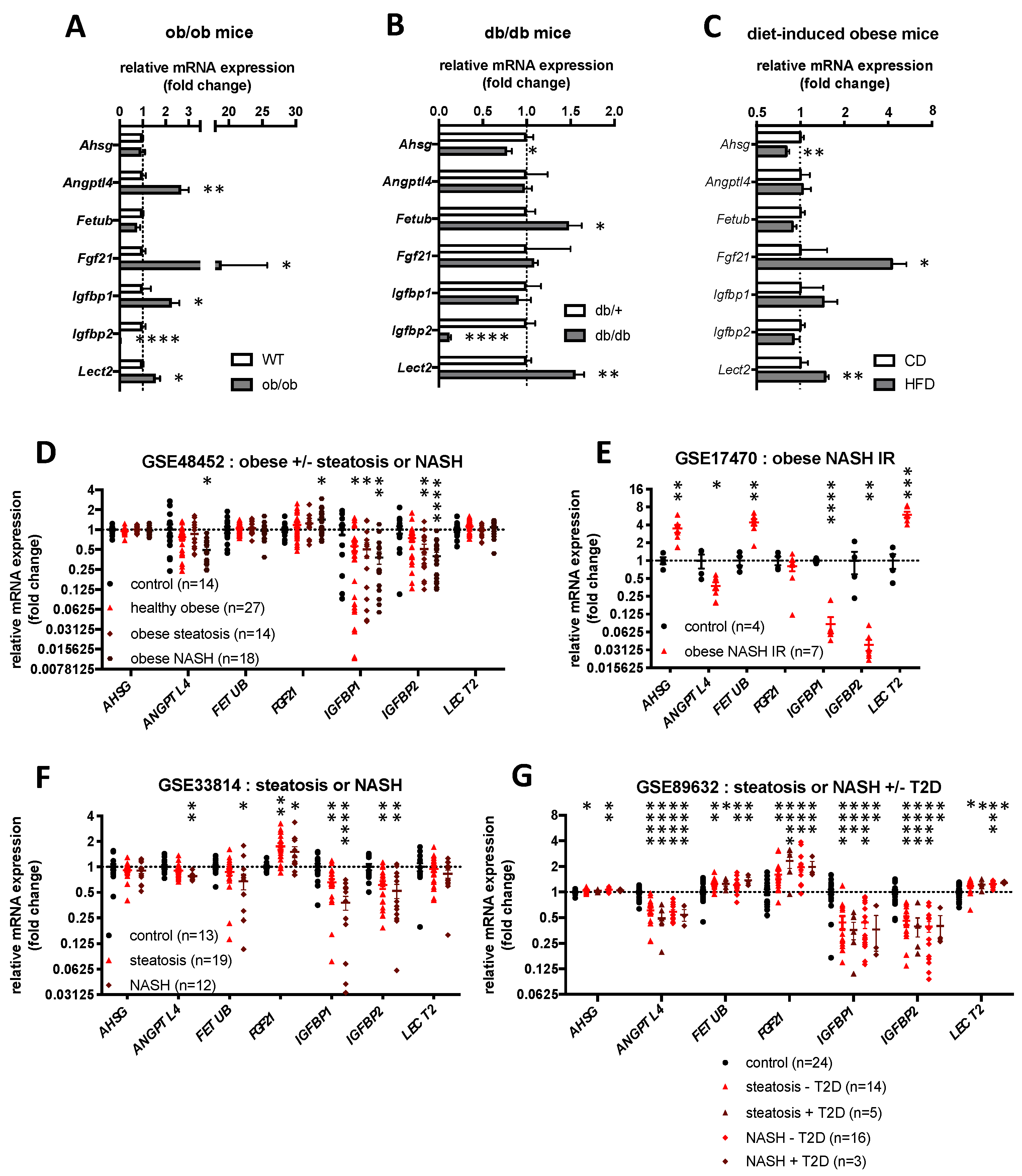 Ijms 23 03959 g004 Ijms 23 03959 g004