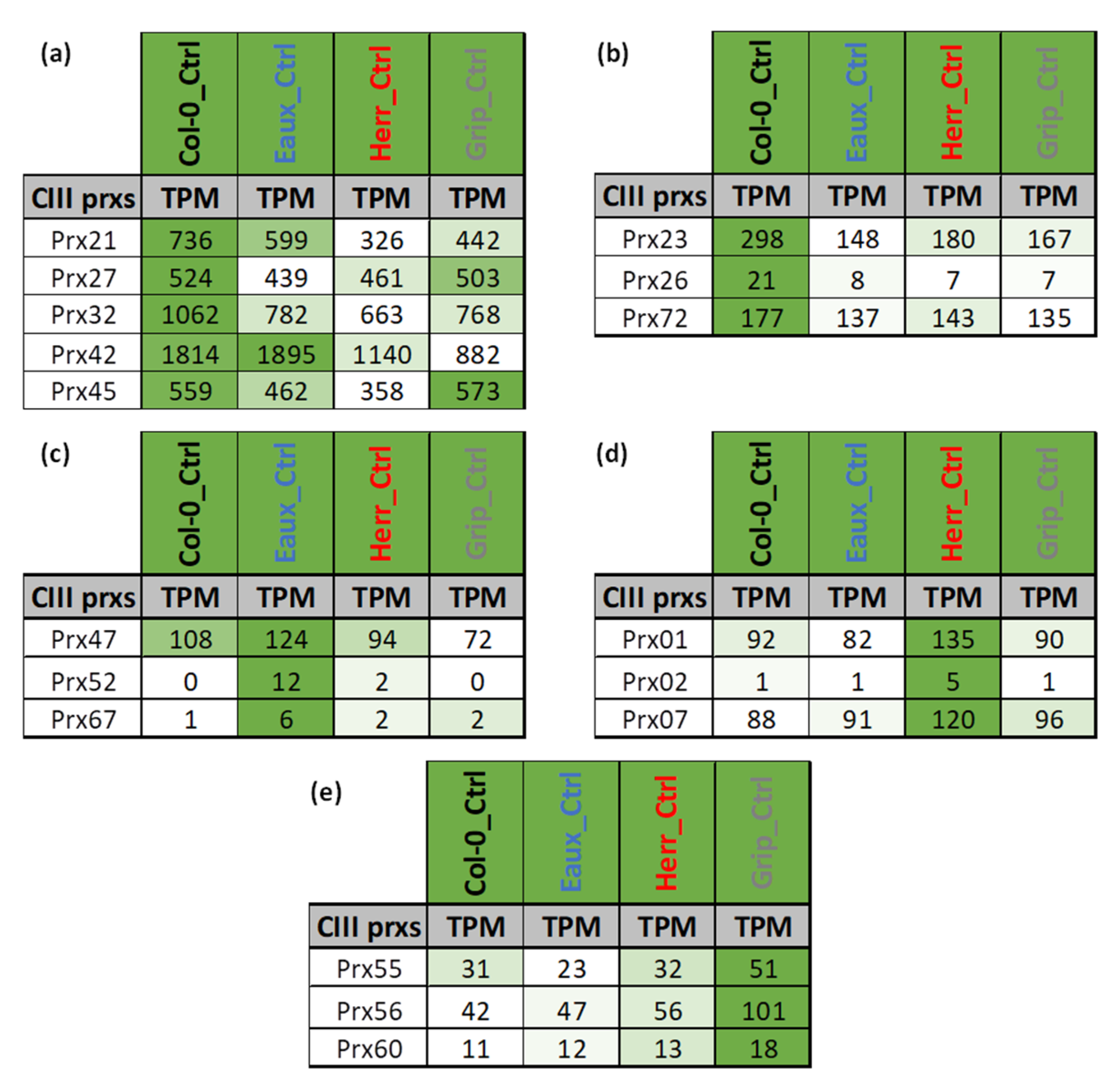 Ijms 23 03960 g004 Ijms 23 03960 g004