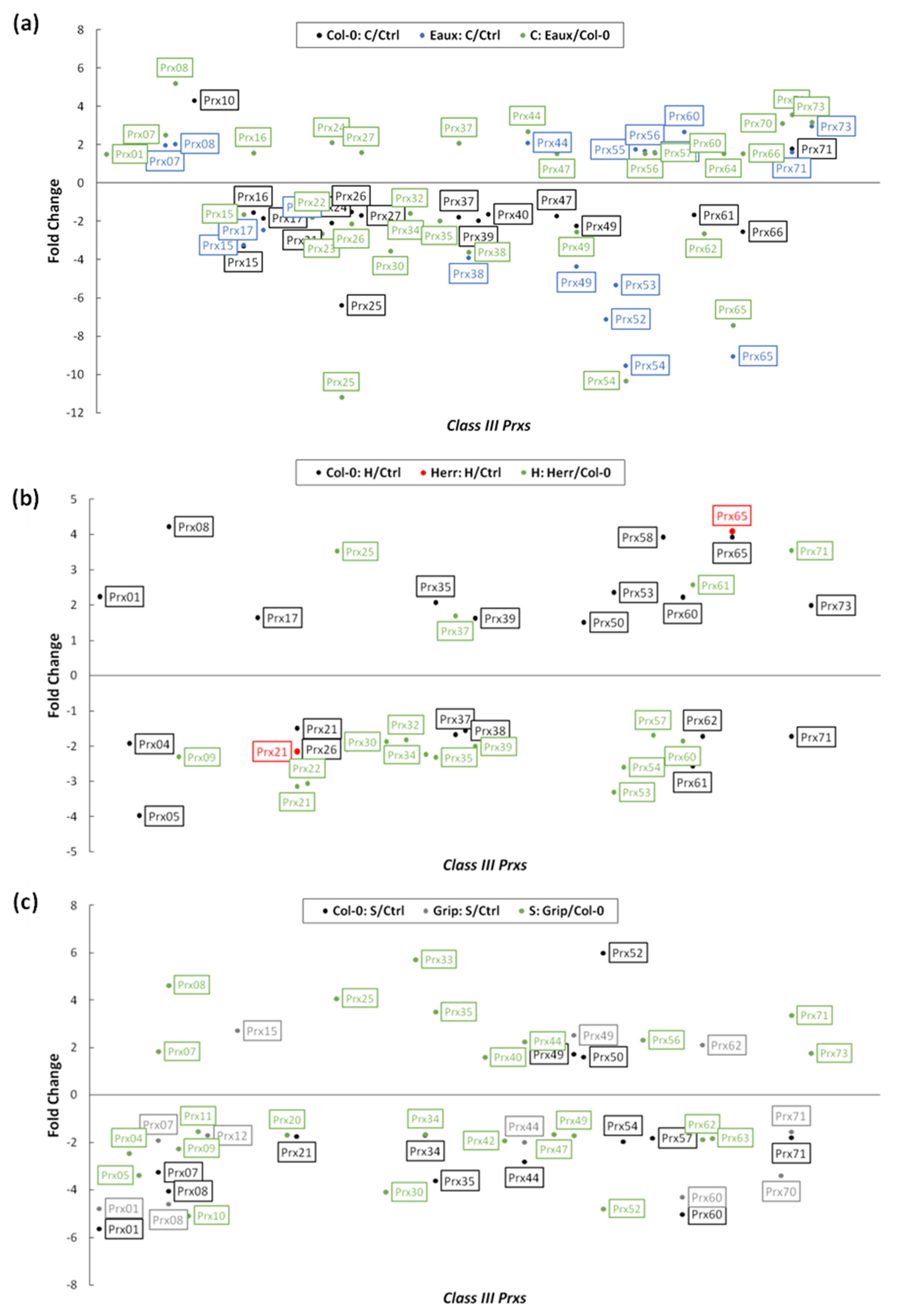 Ijms 23 03960 g005 Ijms 23 03960 g005