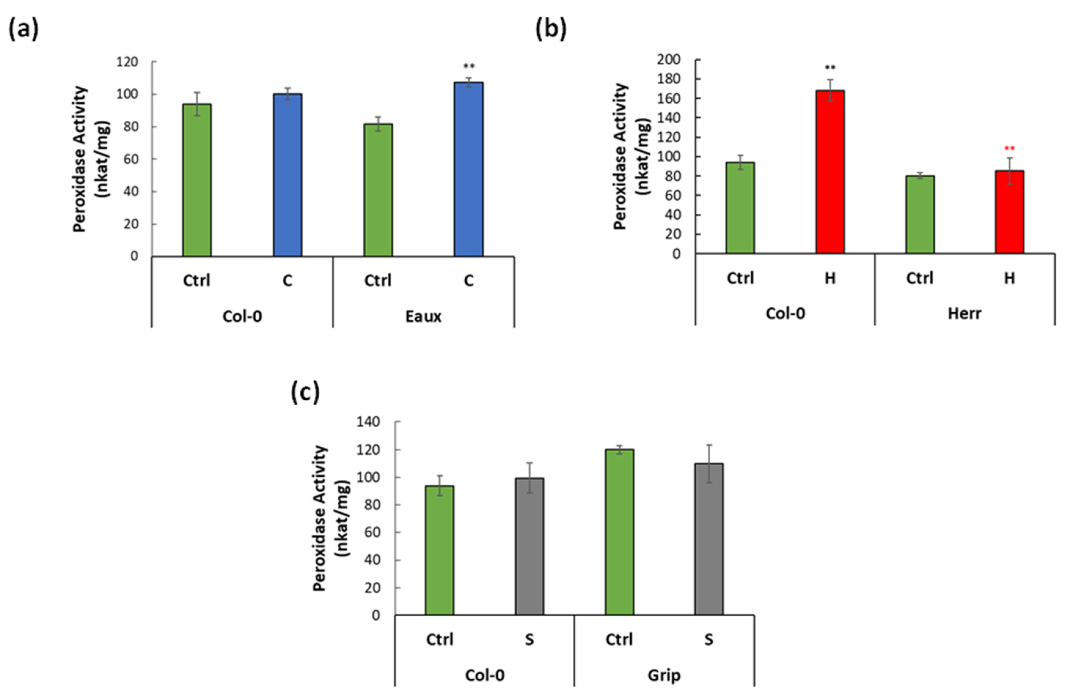 Ijms 23 03960 g006 Ijms 23 03960 g006