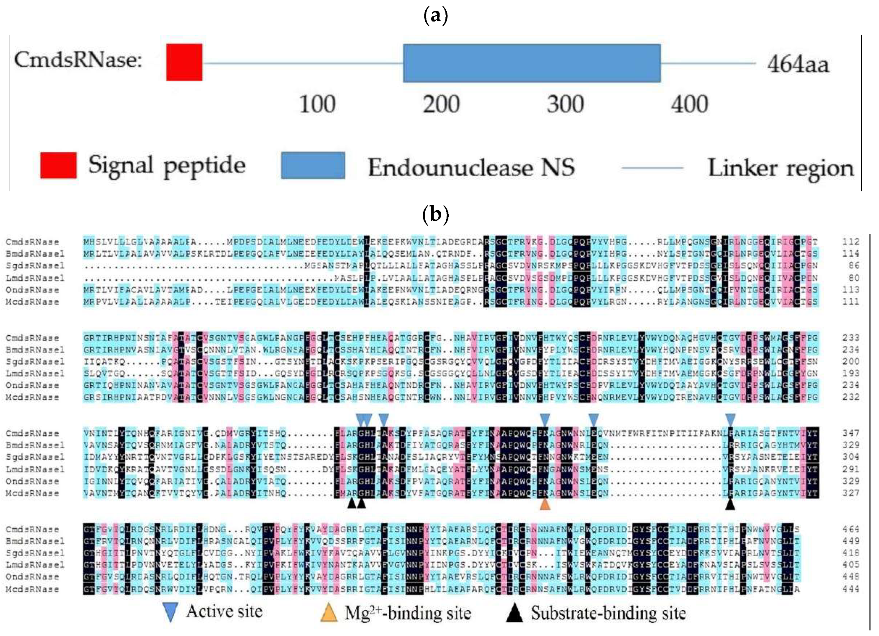 Ijms 23 03961 g002 550