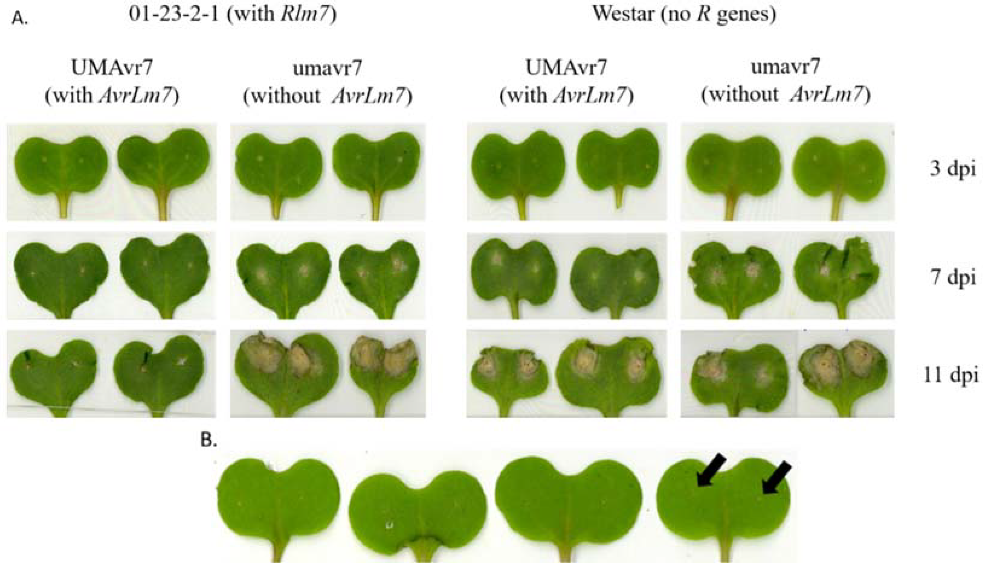 Ijms 23 03964 g001 550