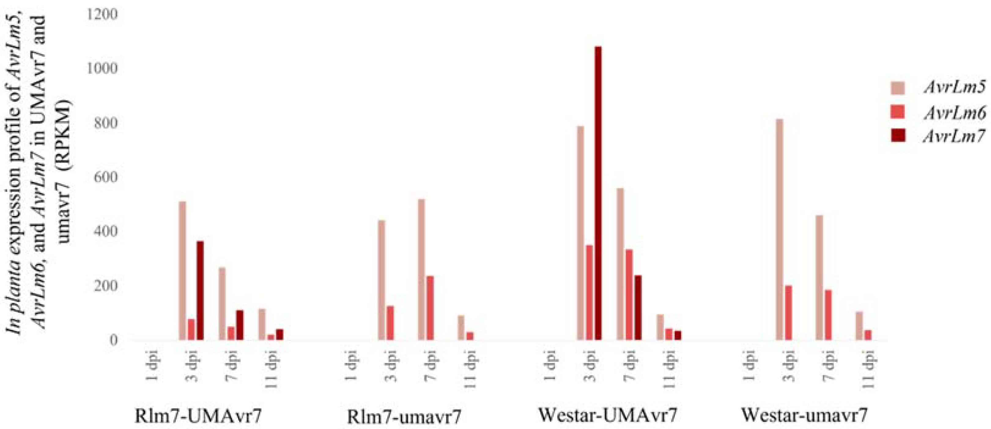 Ijms 23 03964 g003 550