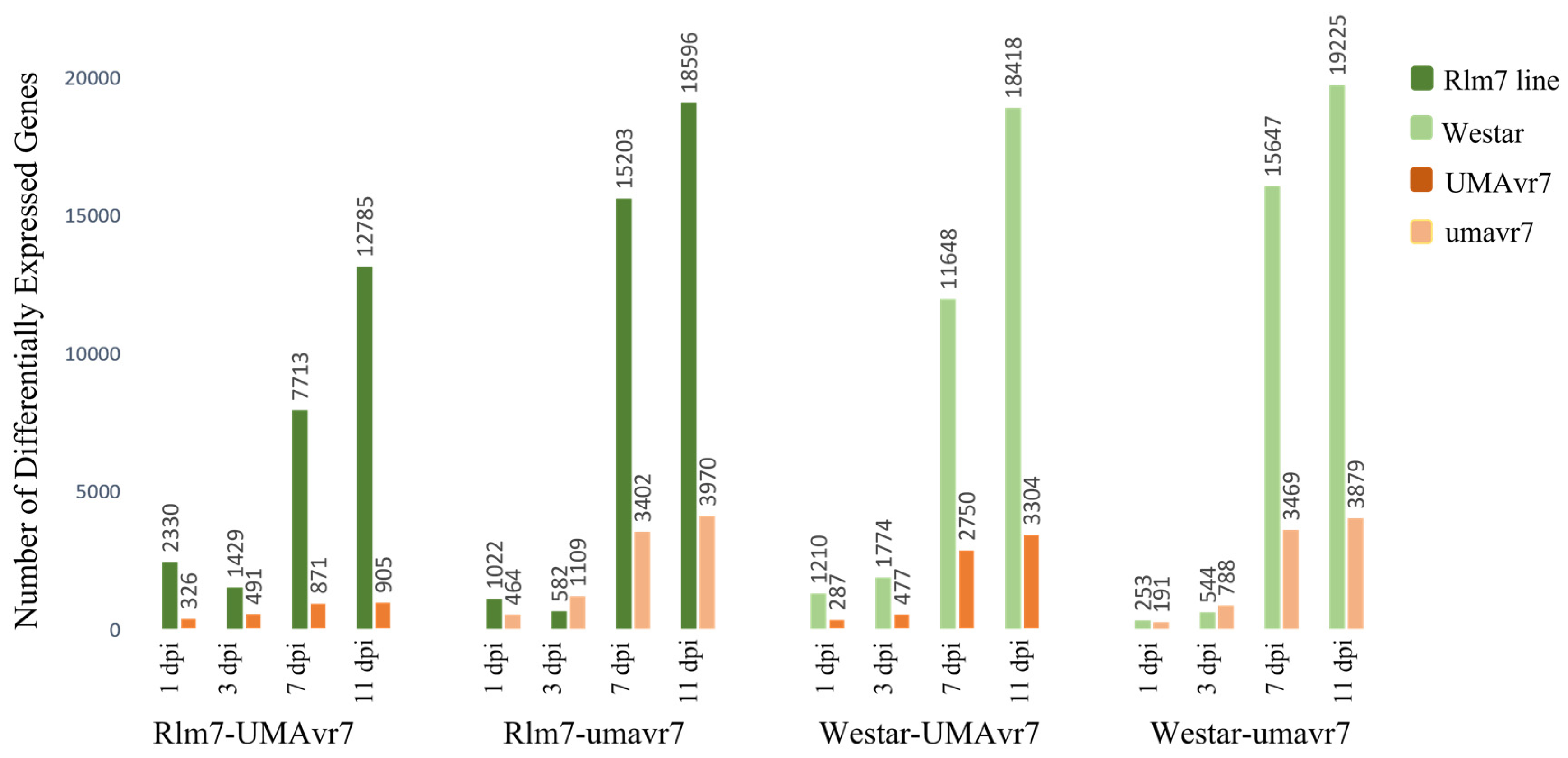 Ijms 23 03964 g004 550