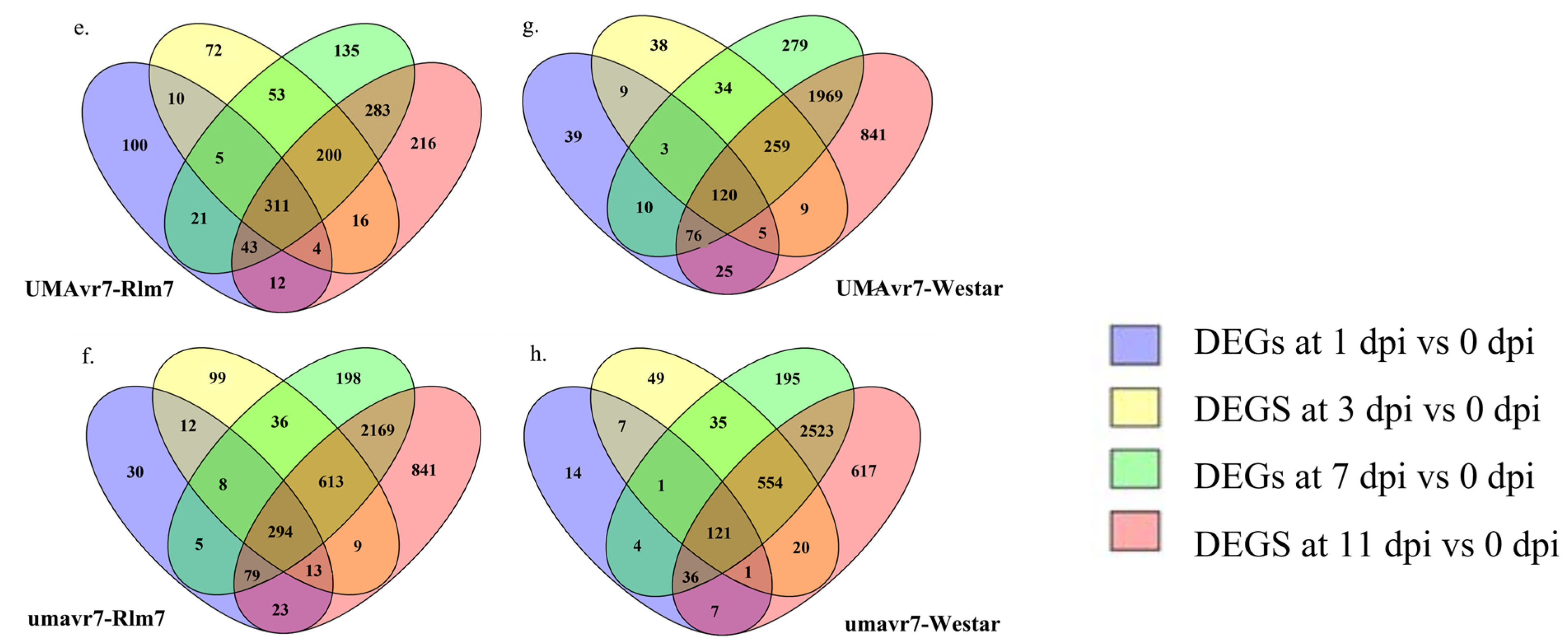 Ijms 23 03964 g005b 550