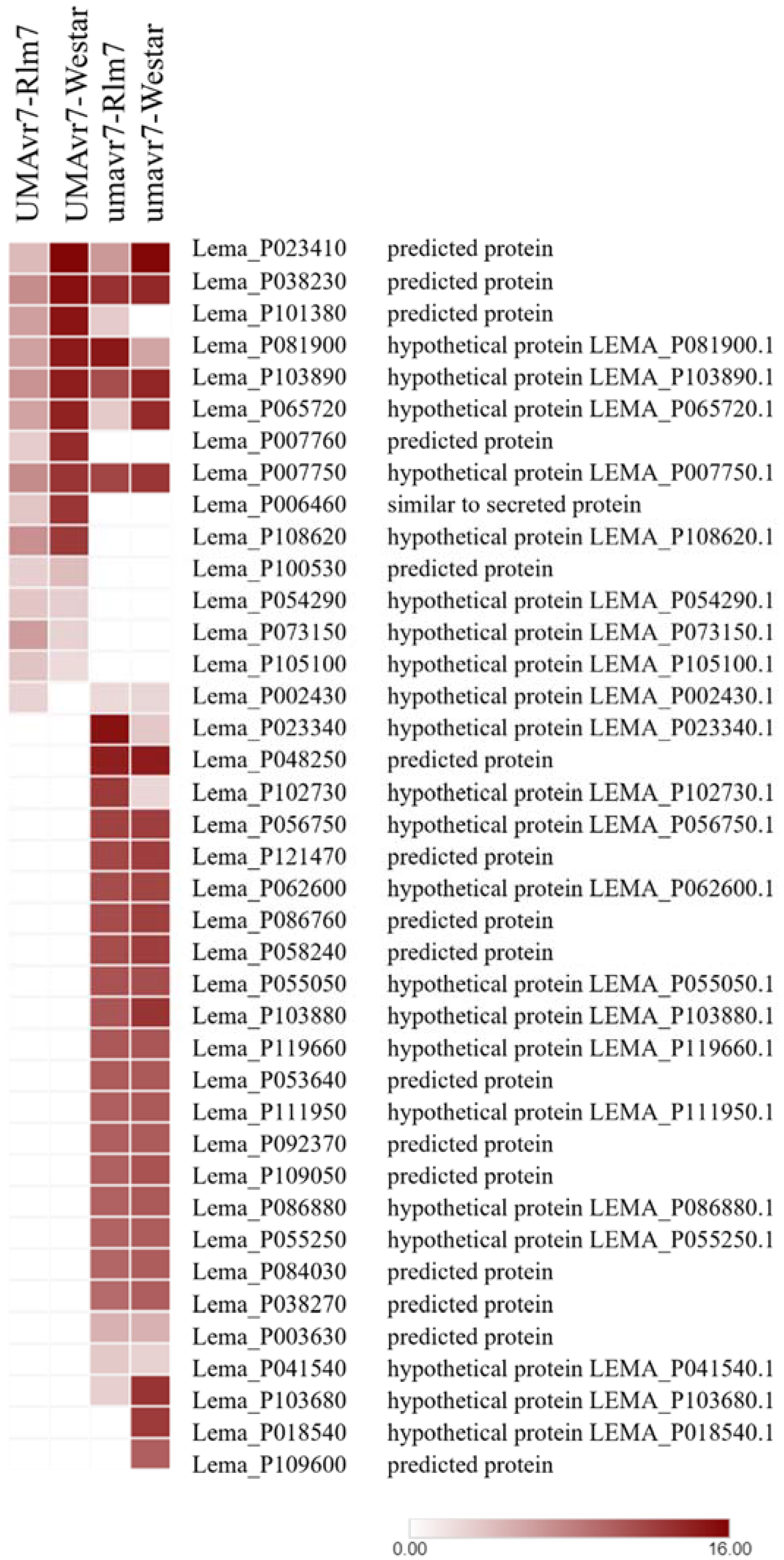 Ijms 23 03964 g007 550