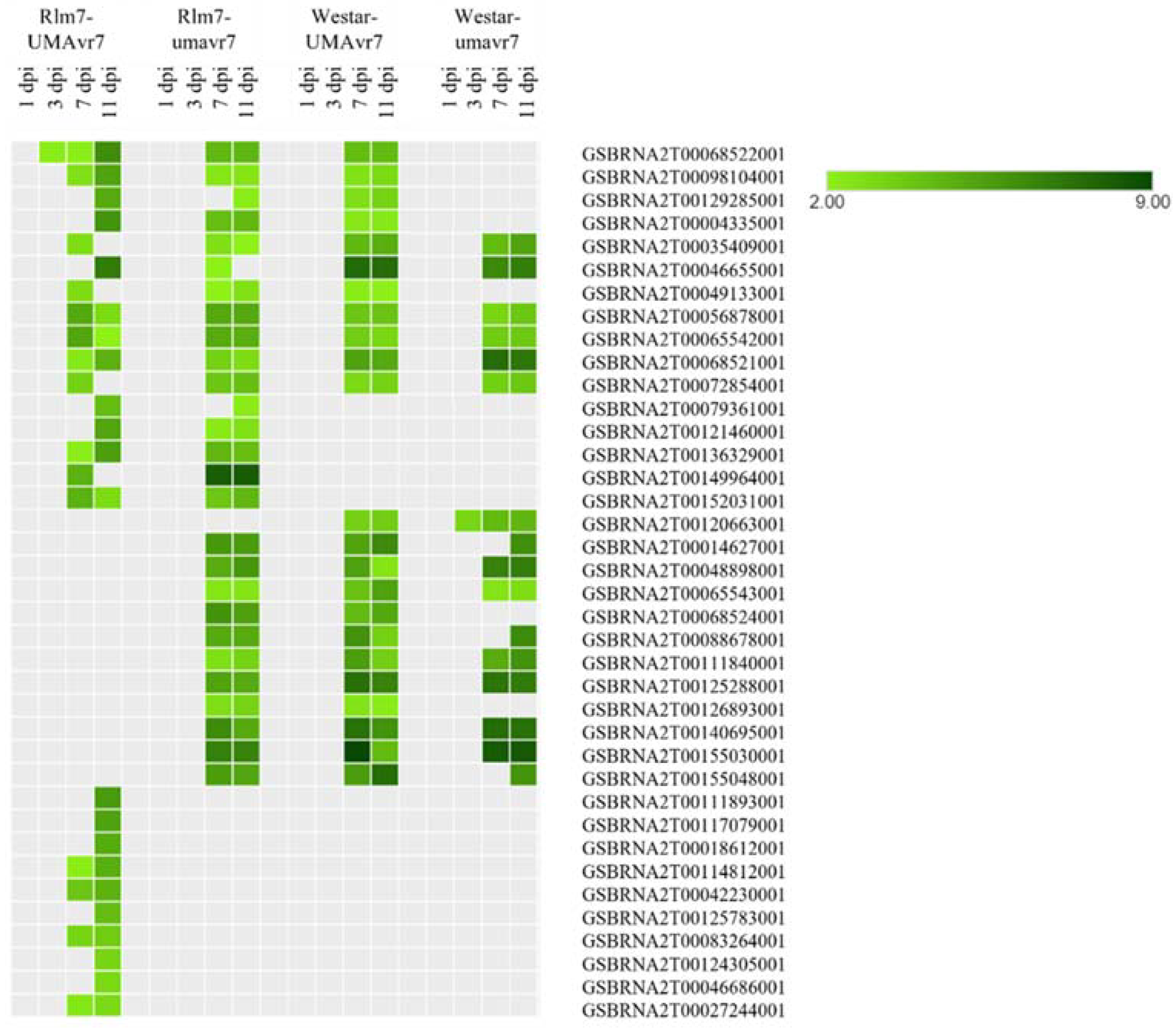 Ijms 23 03964 g010 550