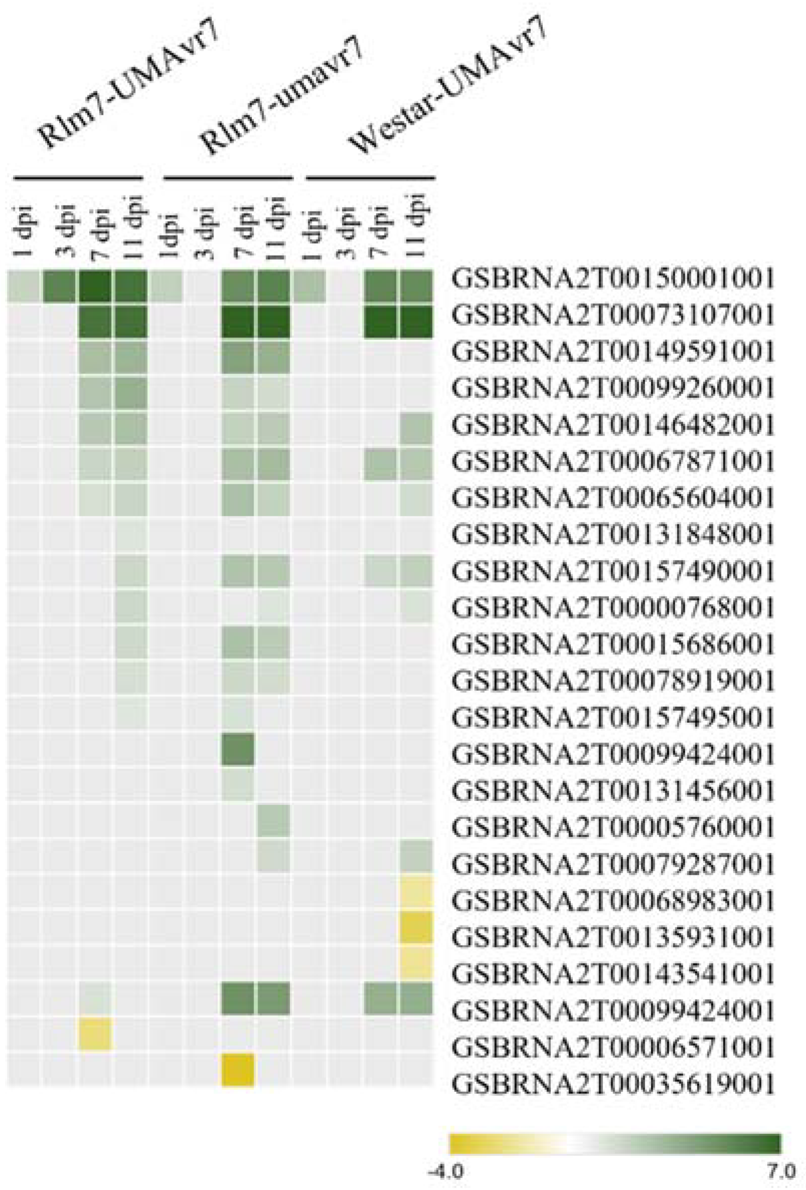 Ijms 23 03964 g011 550