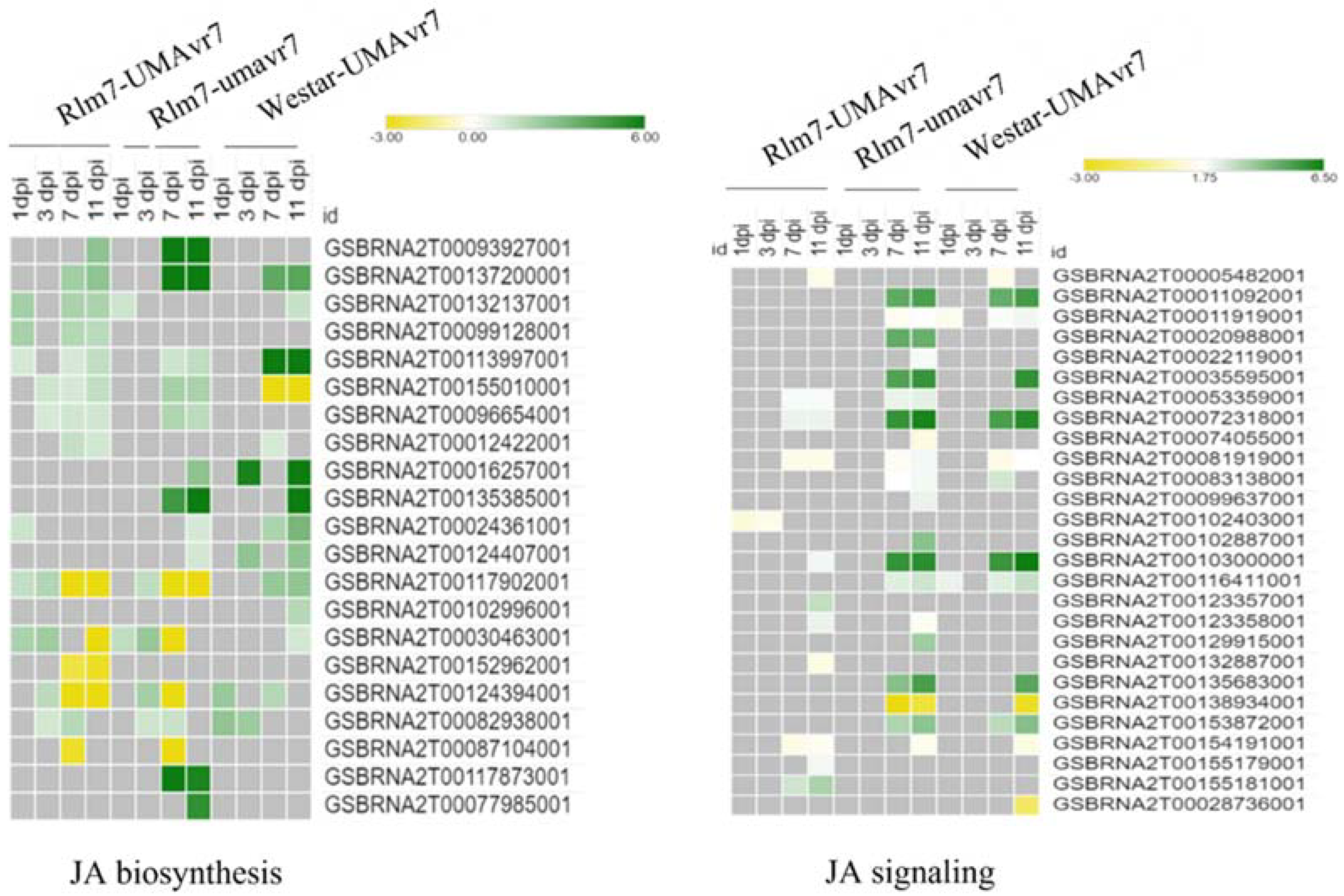 Ijms 23 03964 g012 550