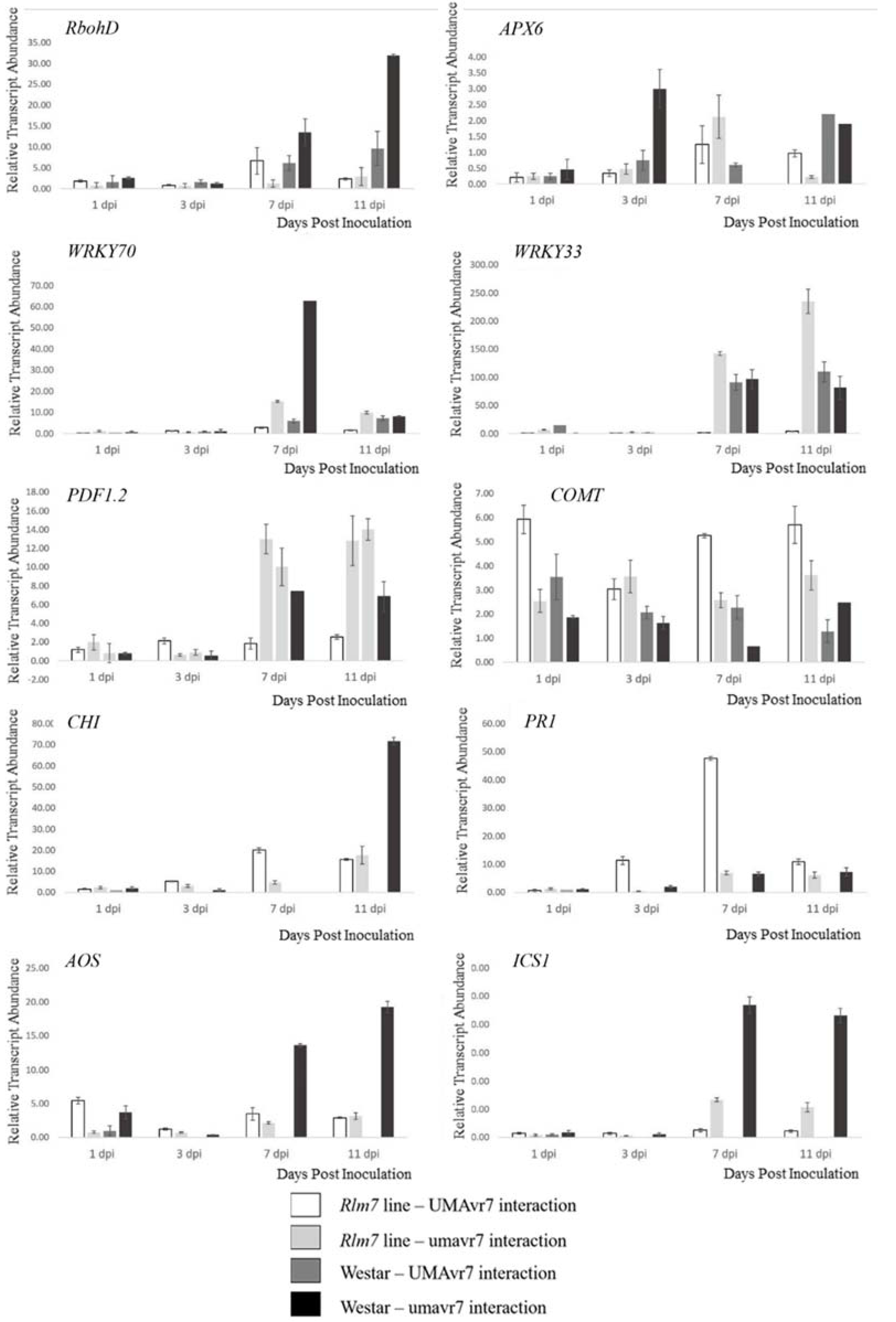 Ijms 23 03964 g013 550