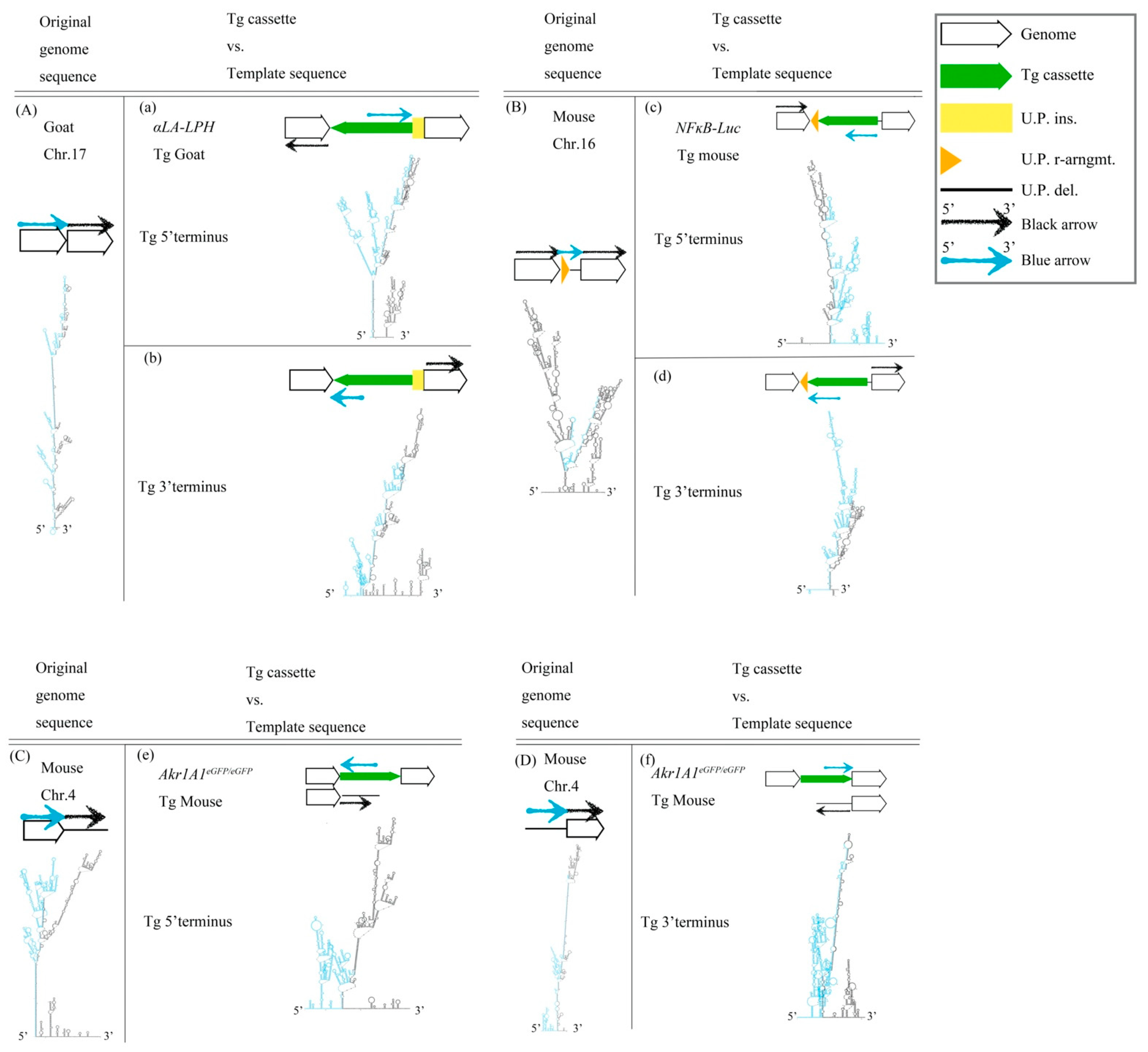 Ijms 23 03973 g001 Ijms 23 03973 g001