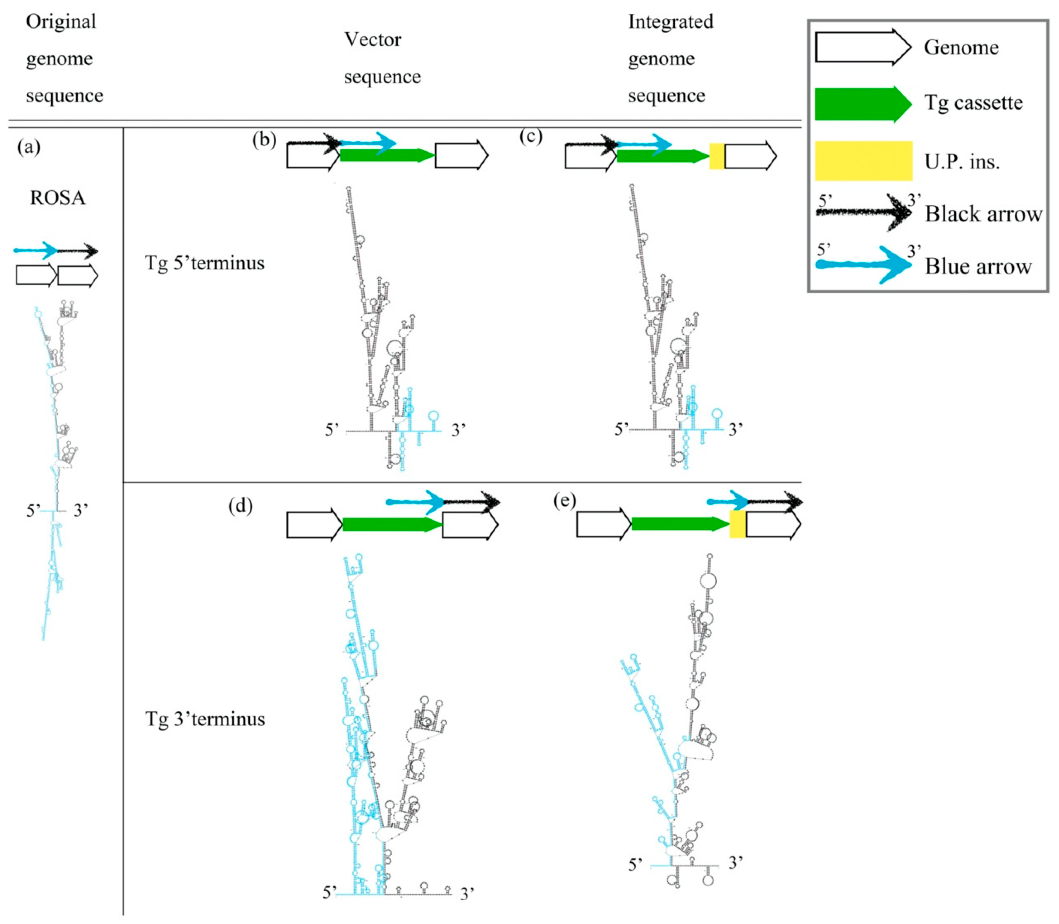 Ijms 23 03973 g002 Ijms 23 03973 g002