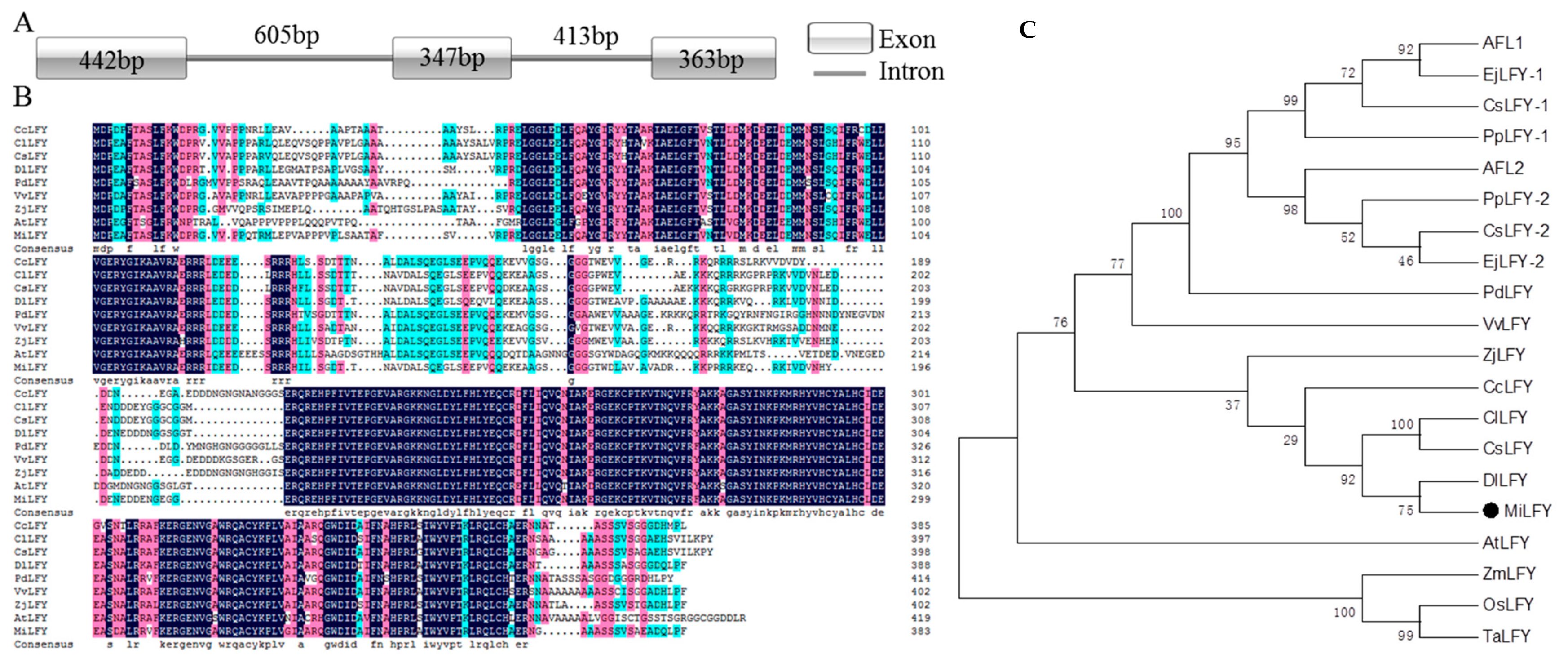 Ijms 23 03974 g001 550