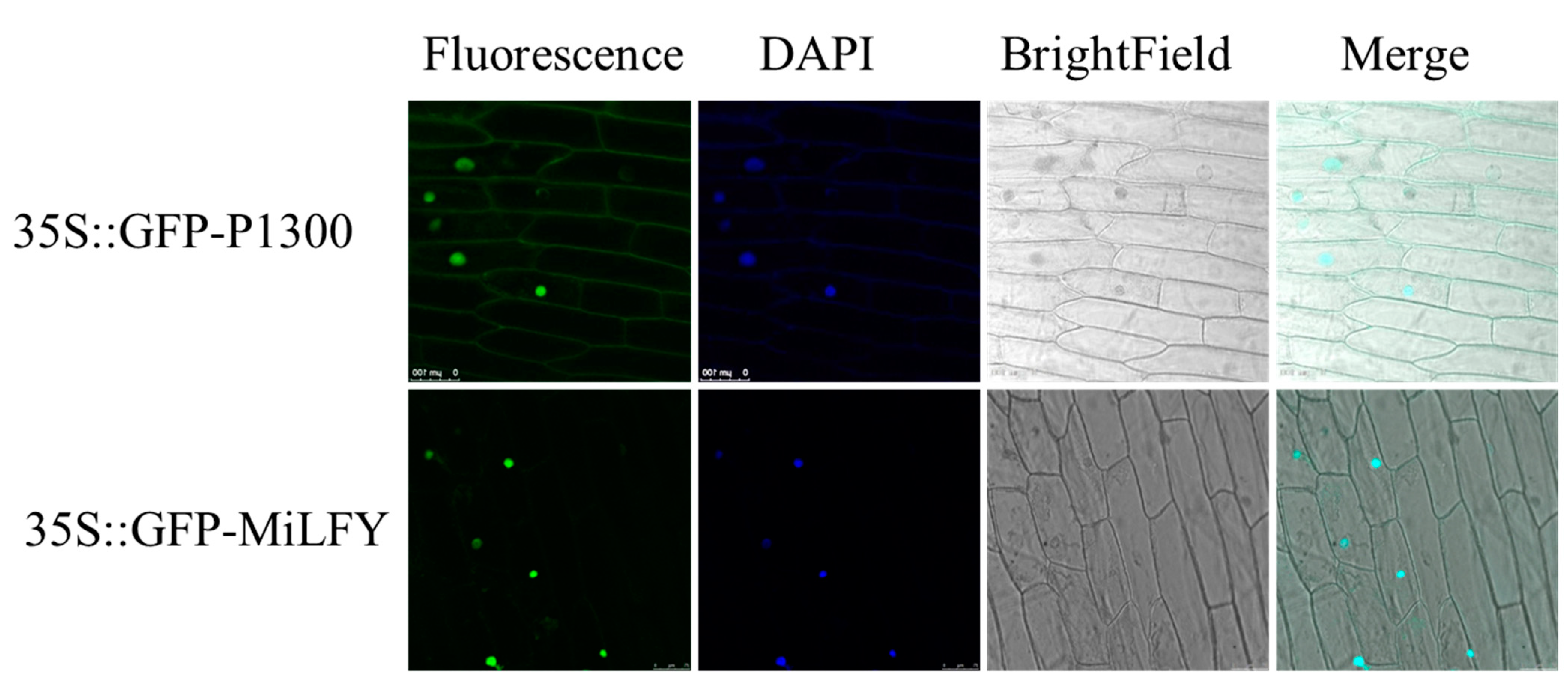 Ijms 23 03974 g003 550