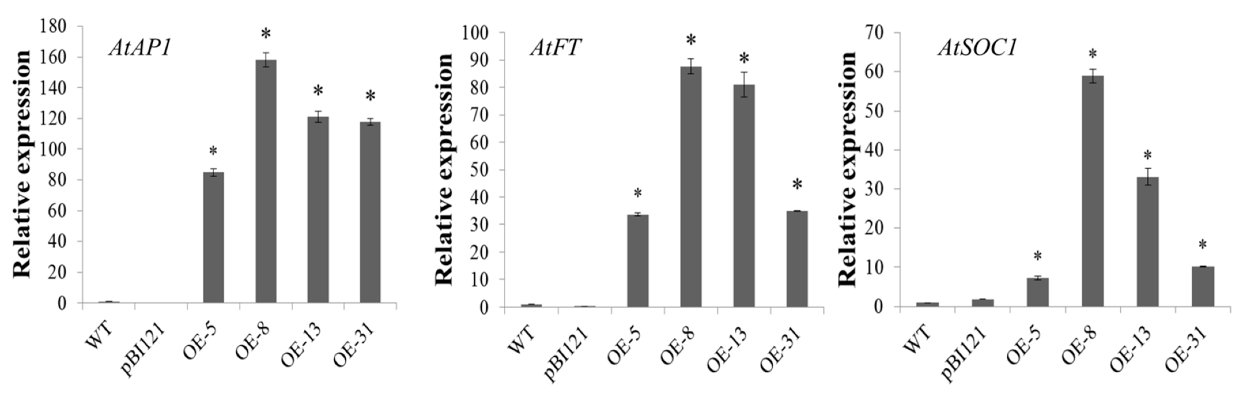 Ijms 23 03974 g005 550