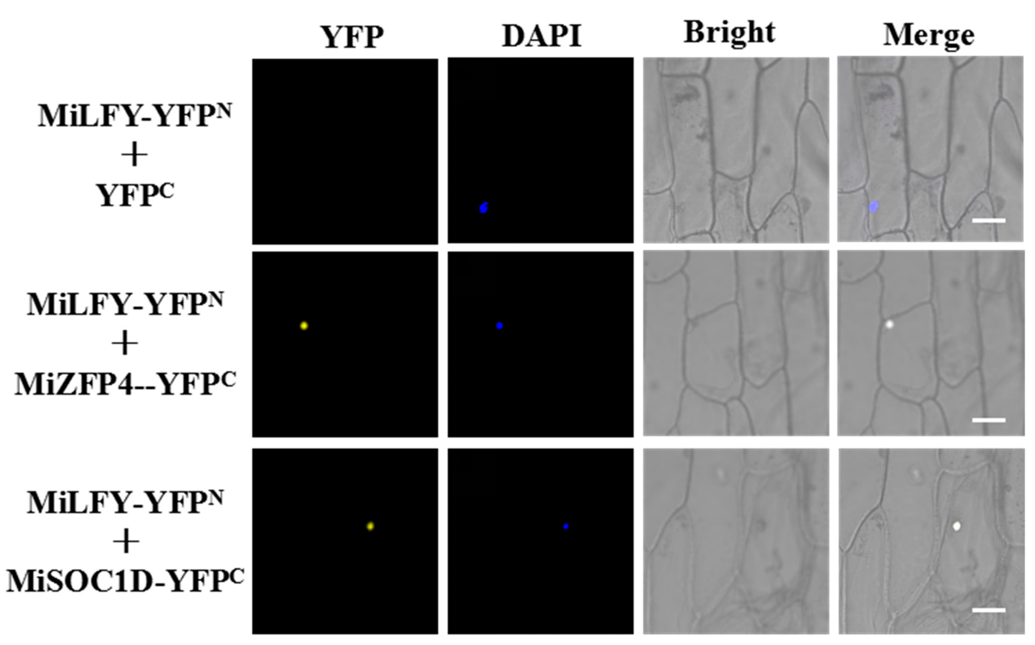 Ijms 23 03974 g008 550