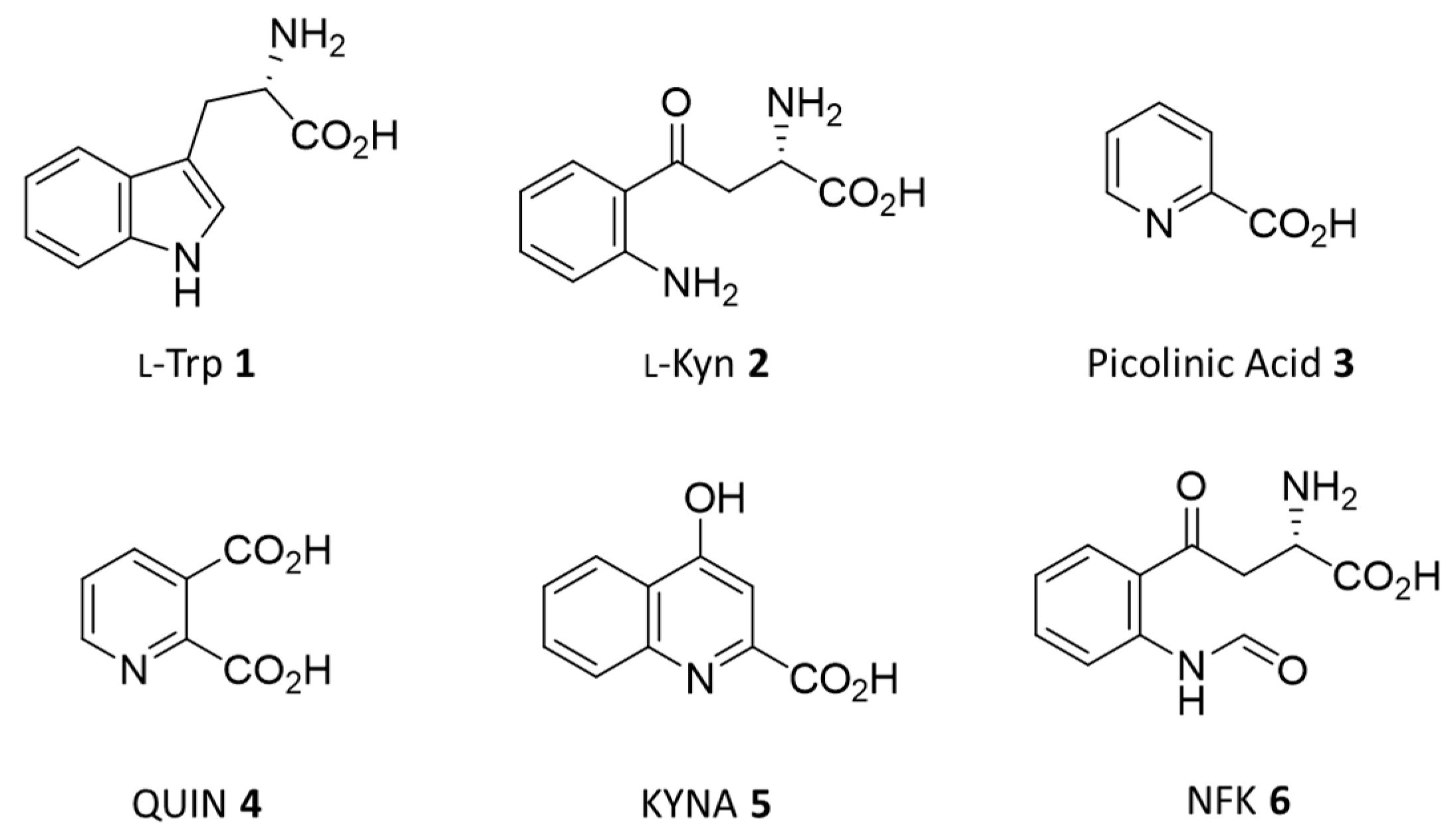 Ijms 23 03981 g001 550