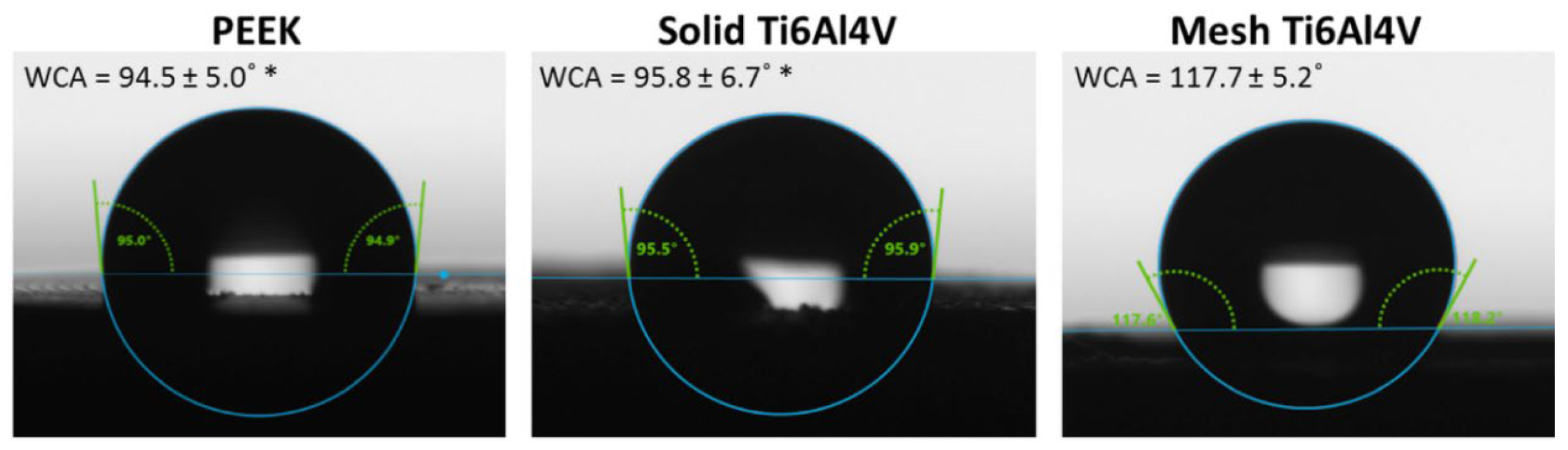 Ijms 23 03985 g003 550