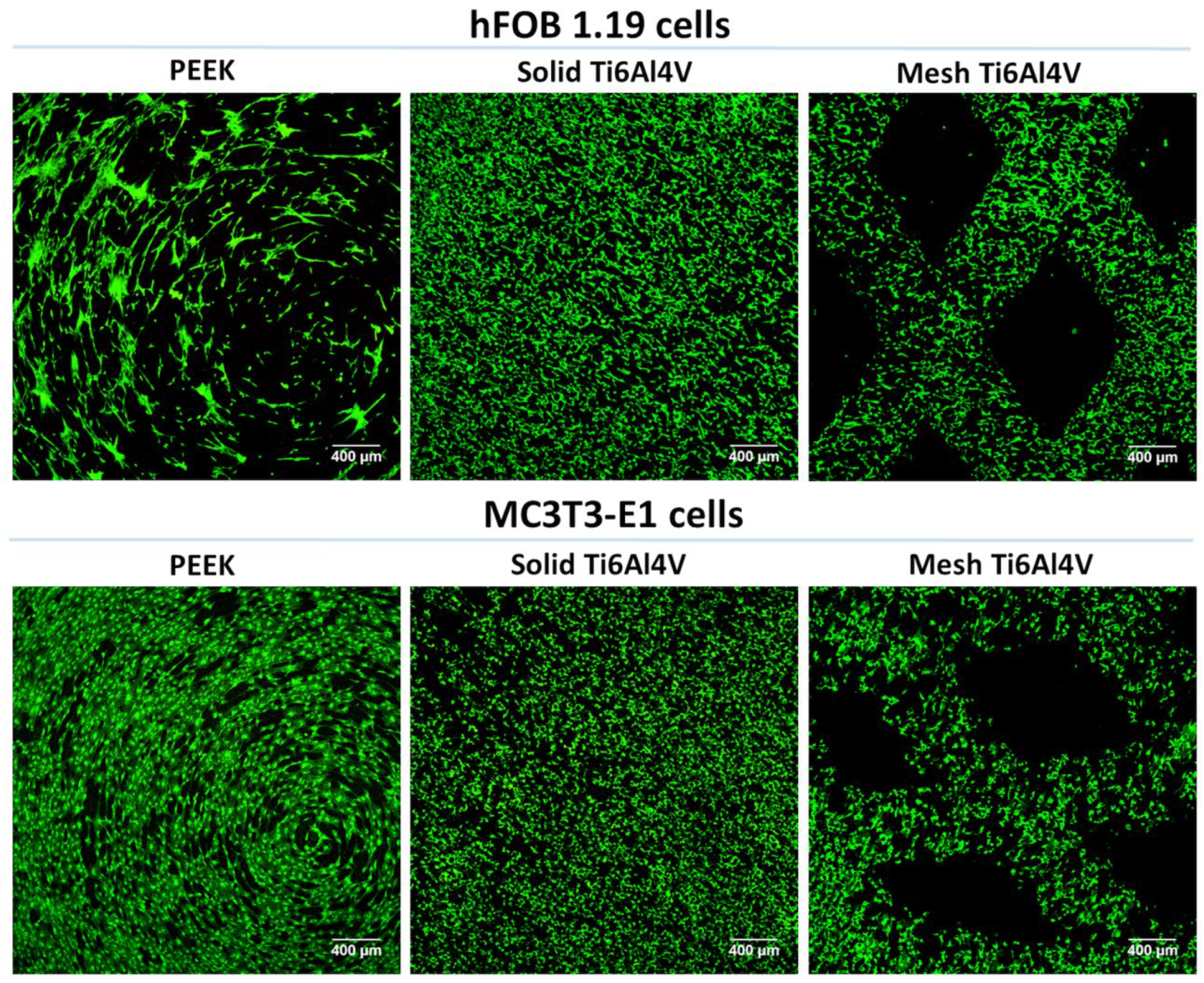 Ijms 23 03985 g005 550