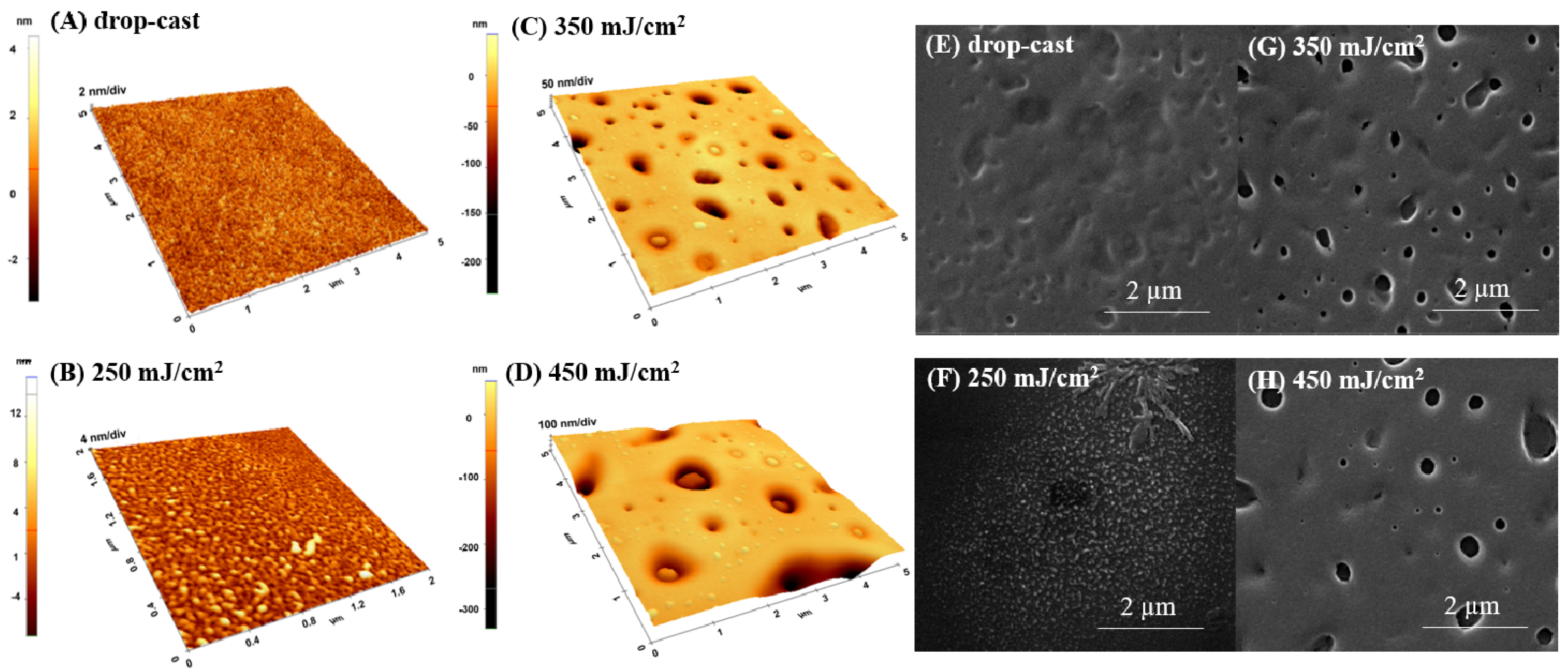 Ijms 23 03988 g002 550