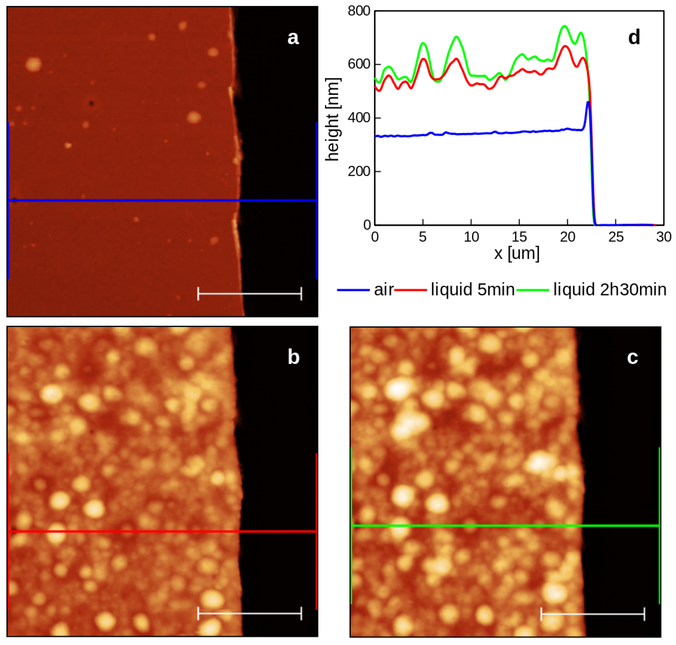 Ijms 23 03988 g008 550