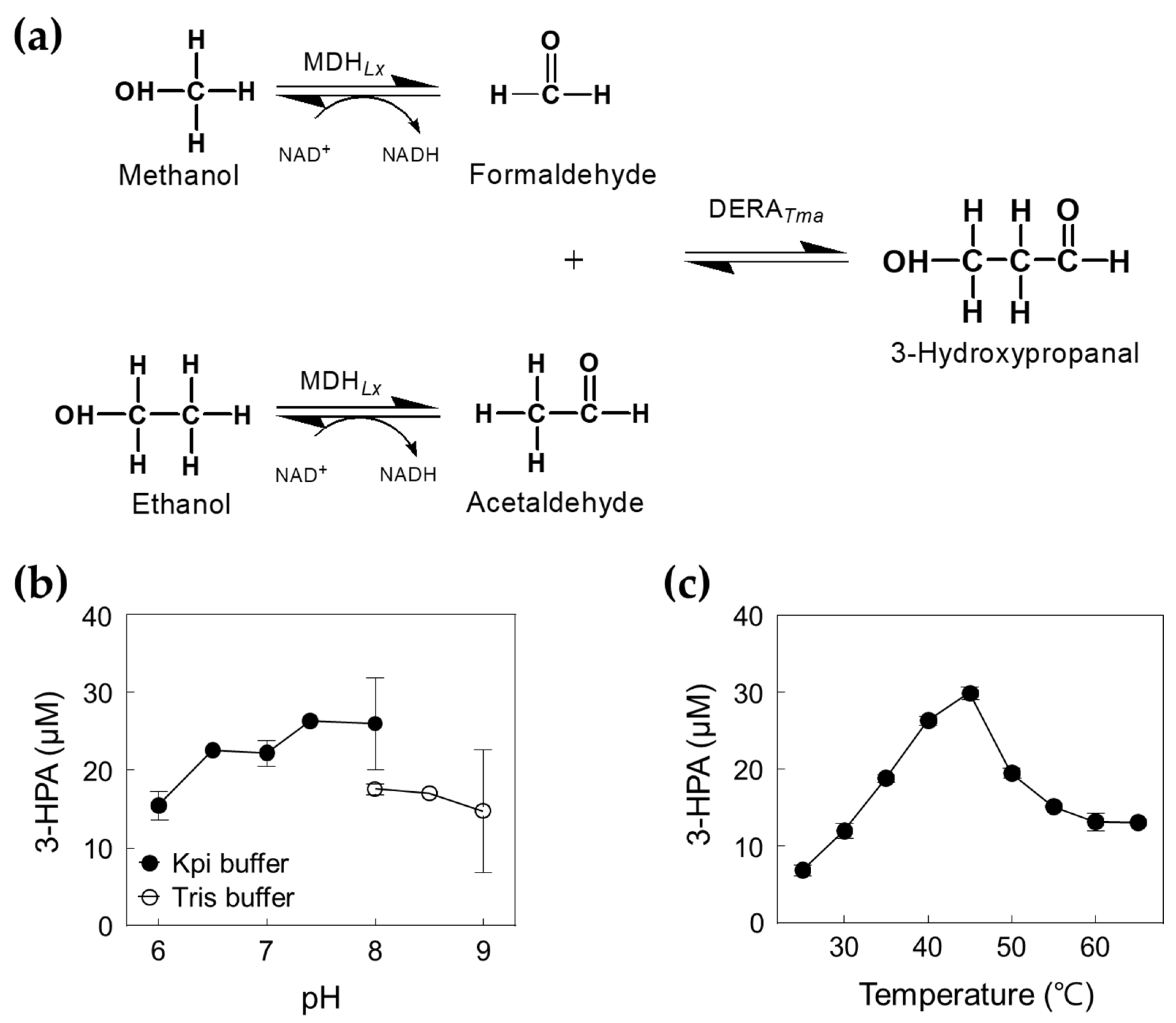 Ijms 23 03990 g005 550