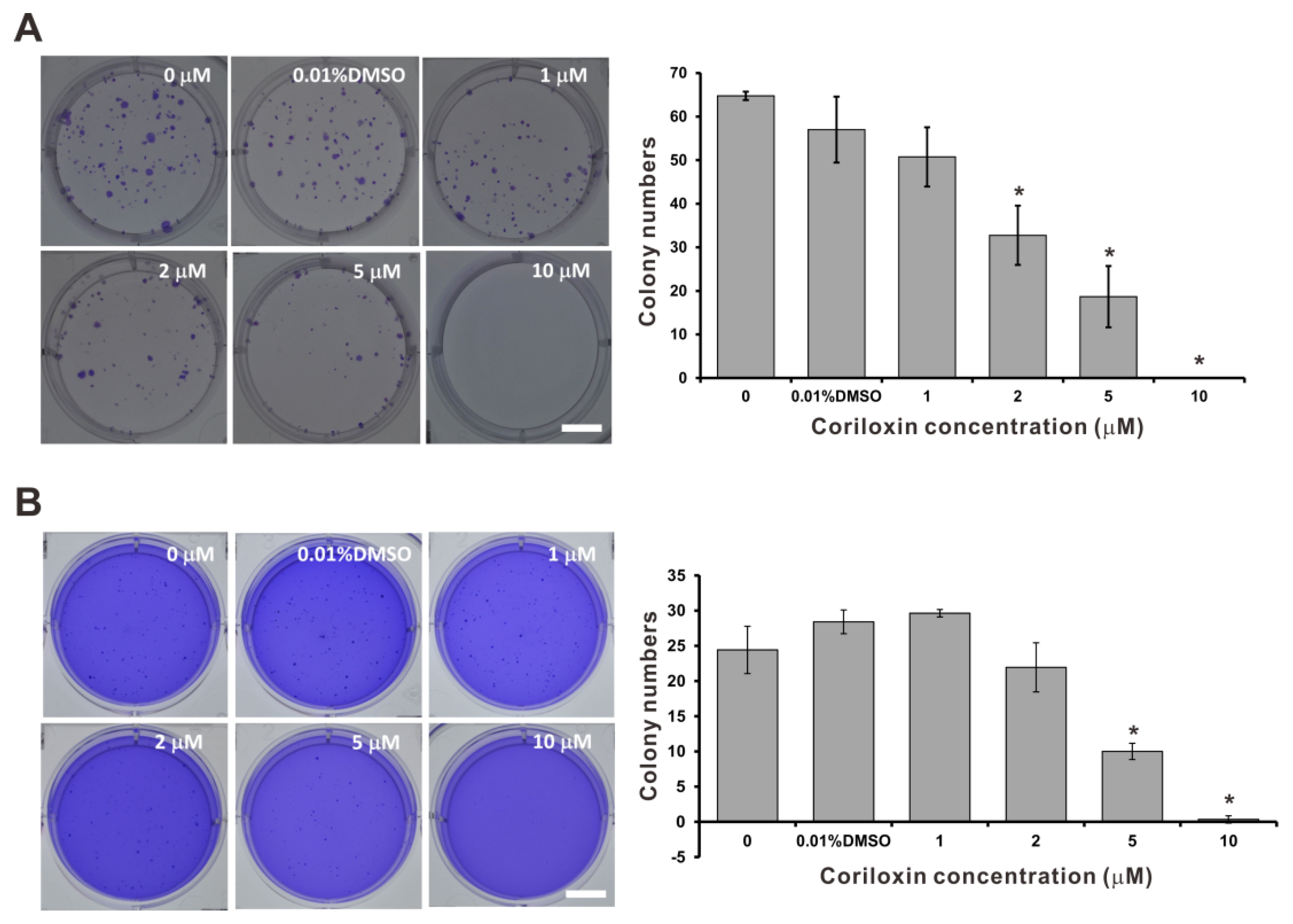 Ijms 23 03991 g003 550