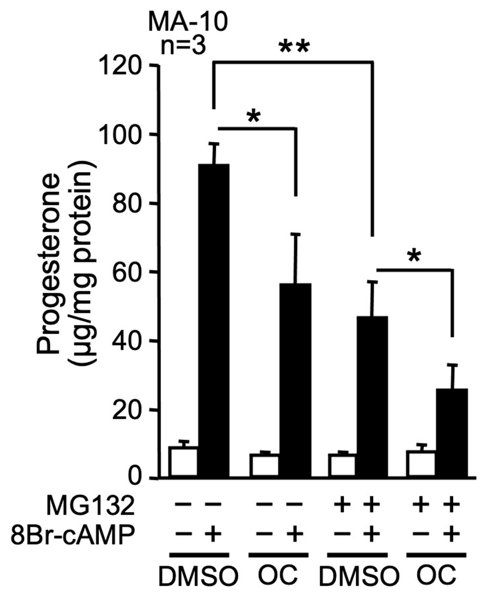 Ijms 23 03997 g002 550