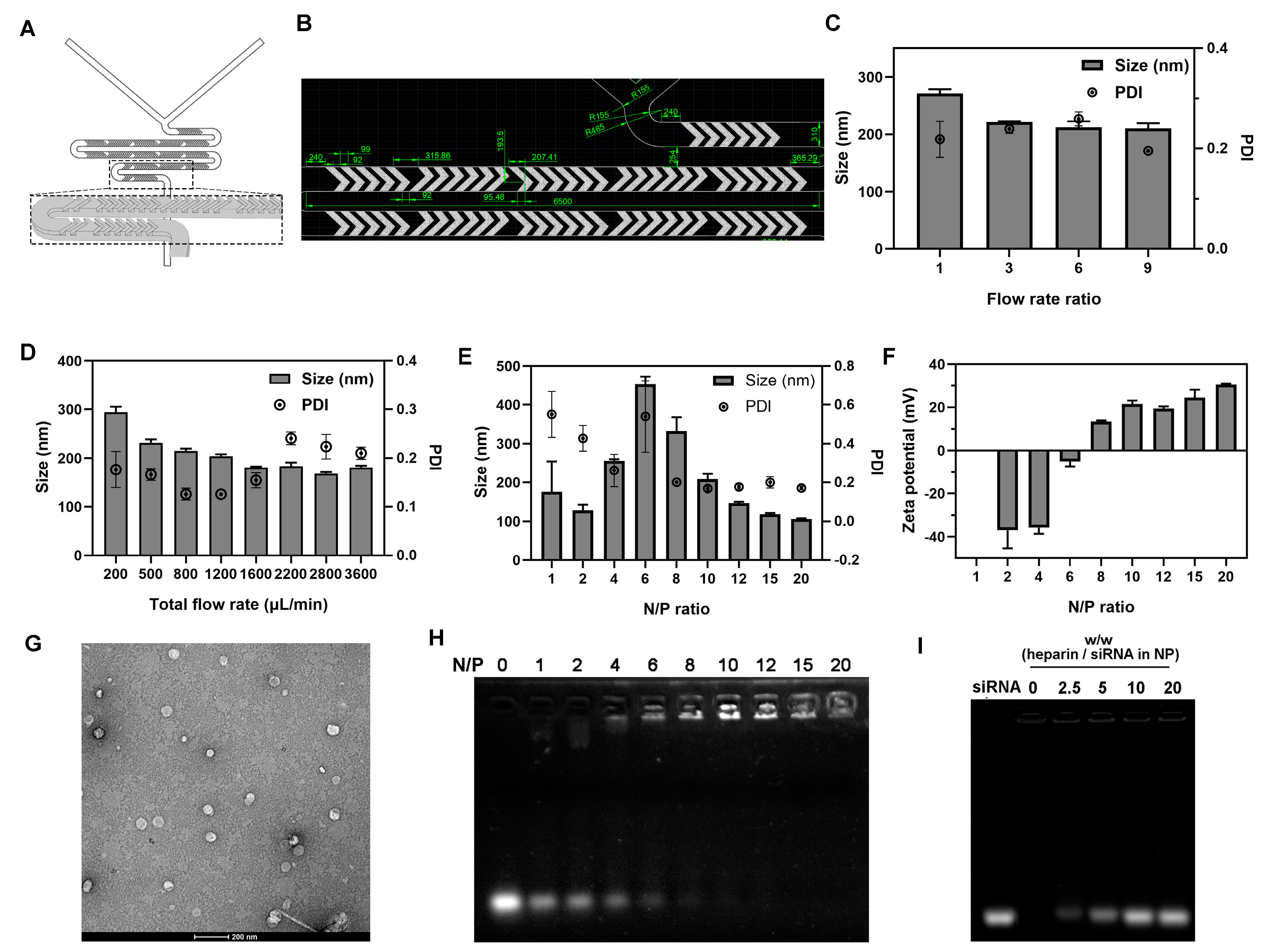 Ijms 23 03999 g001 550