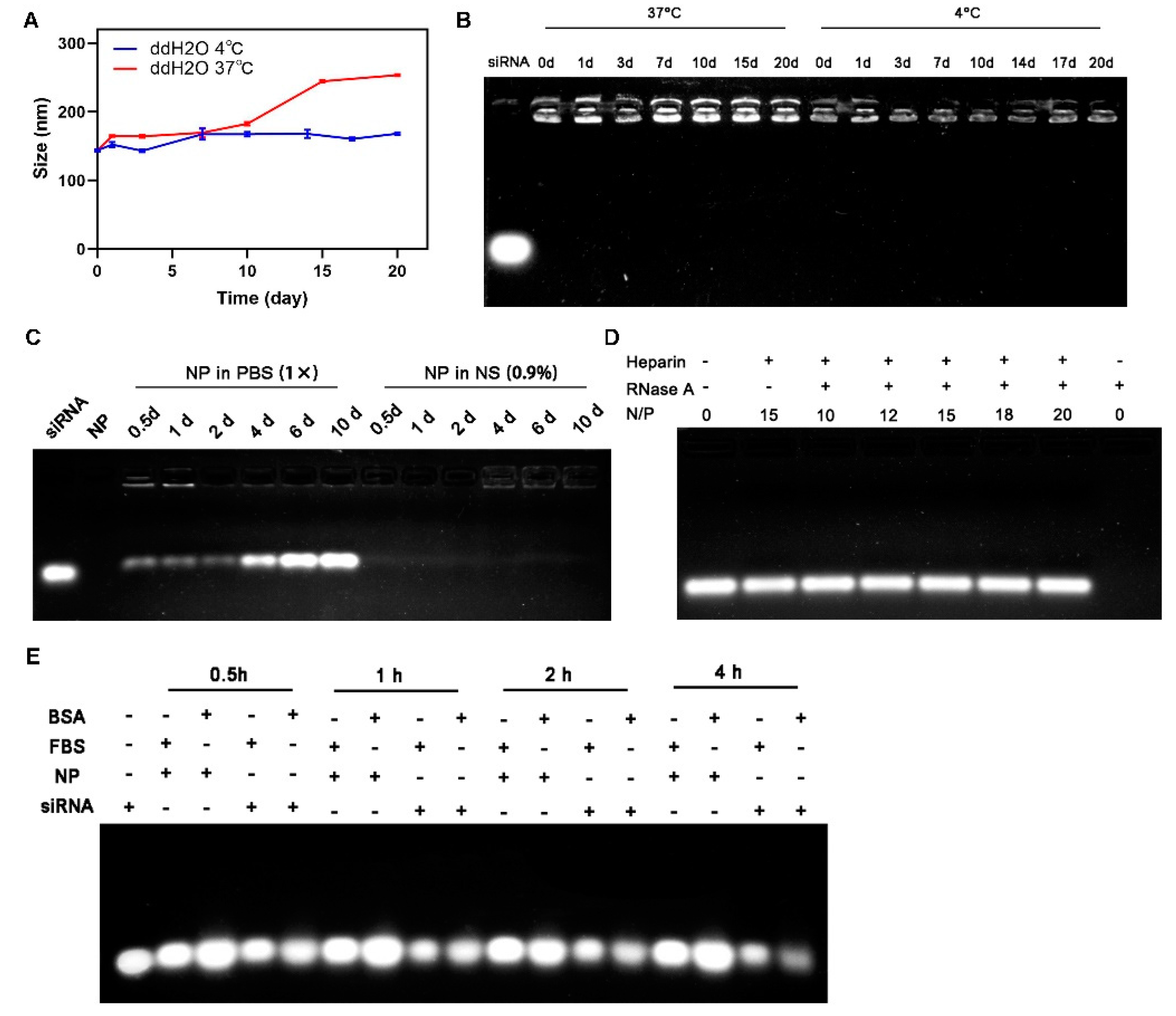 Ijms 23 03999 g002 550