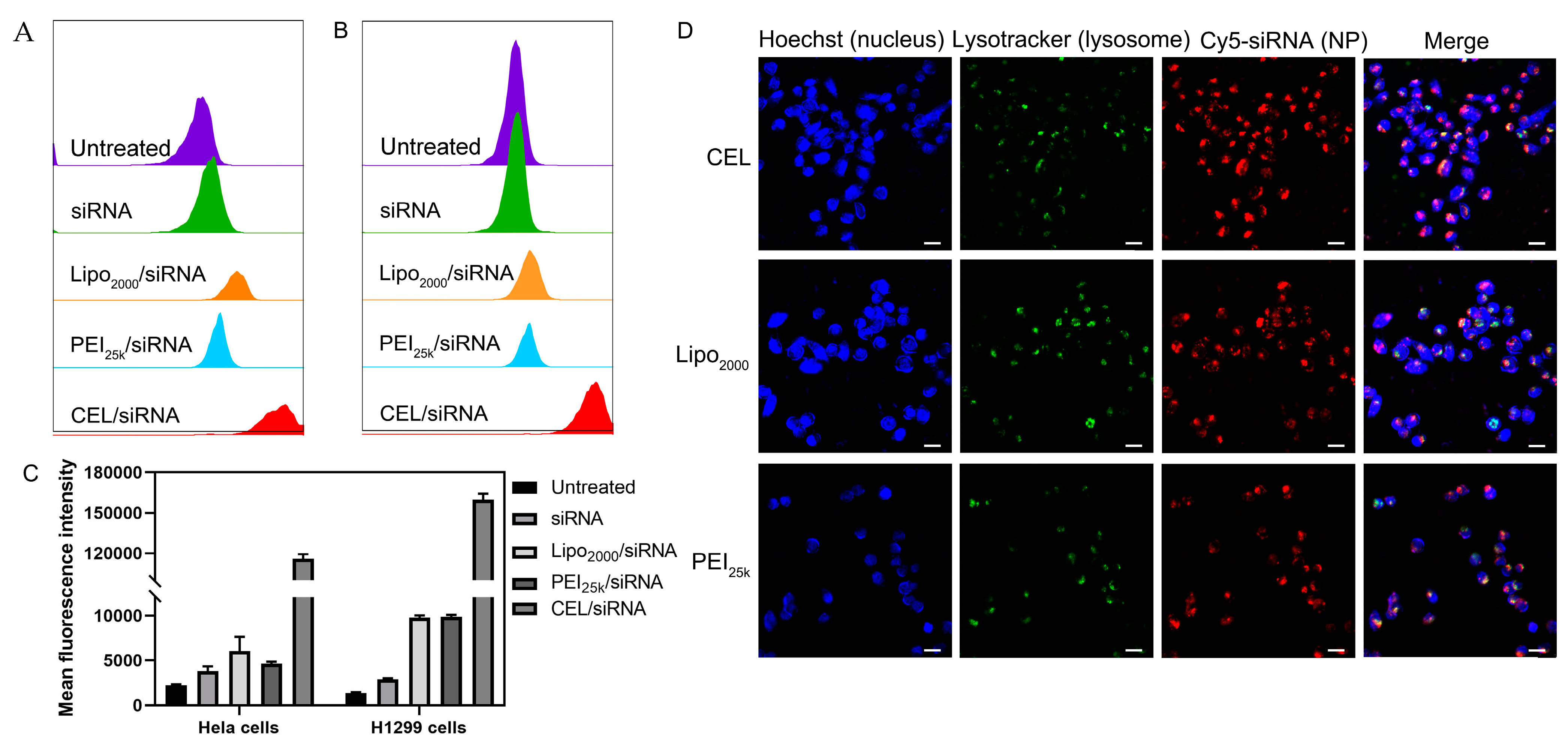 Ijms 23 03999 g004 550