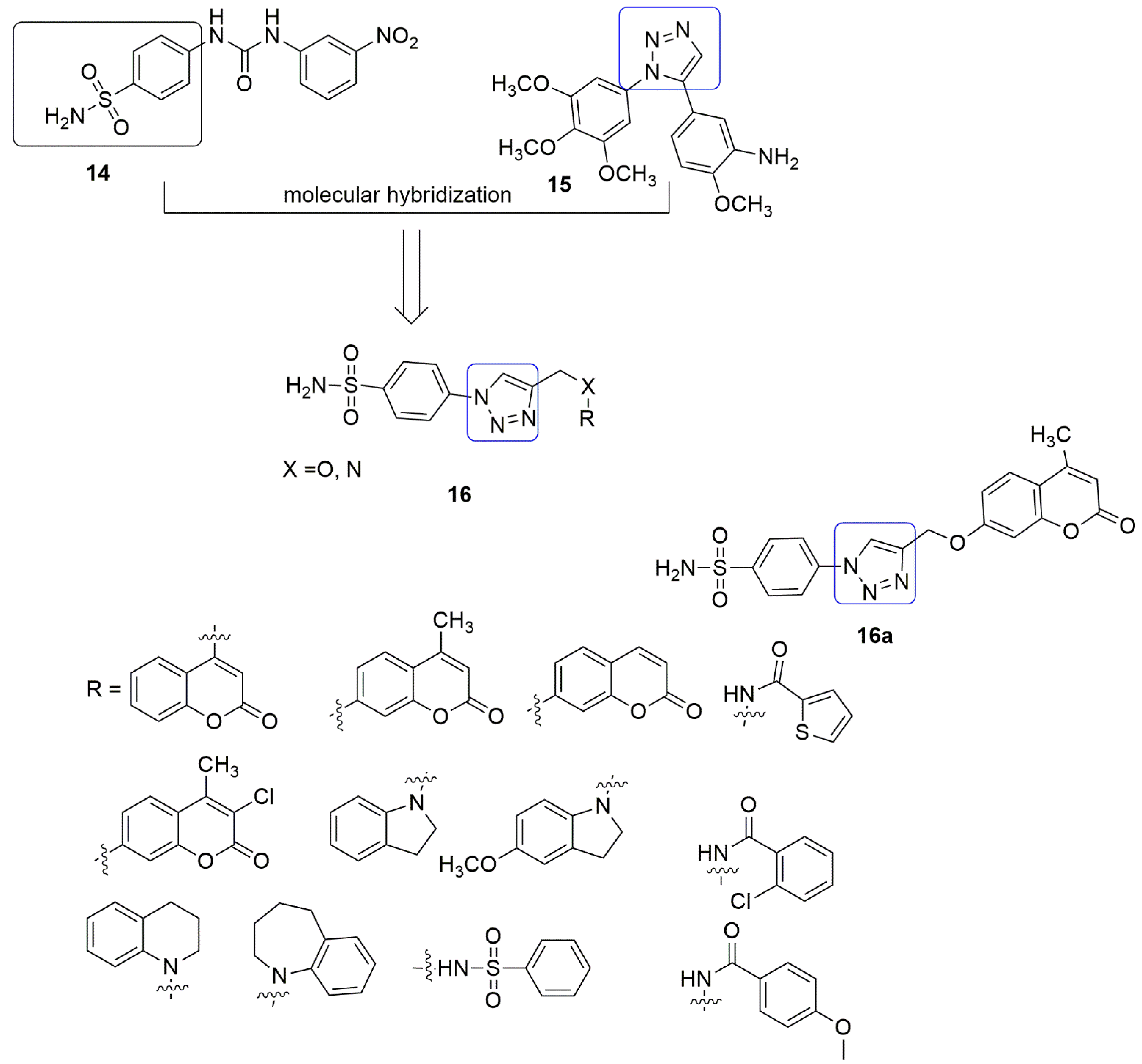 Ijms 23 04001 g007 550
