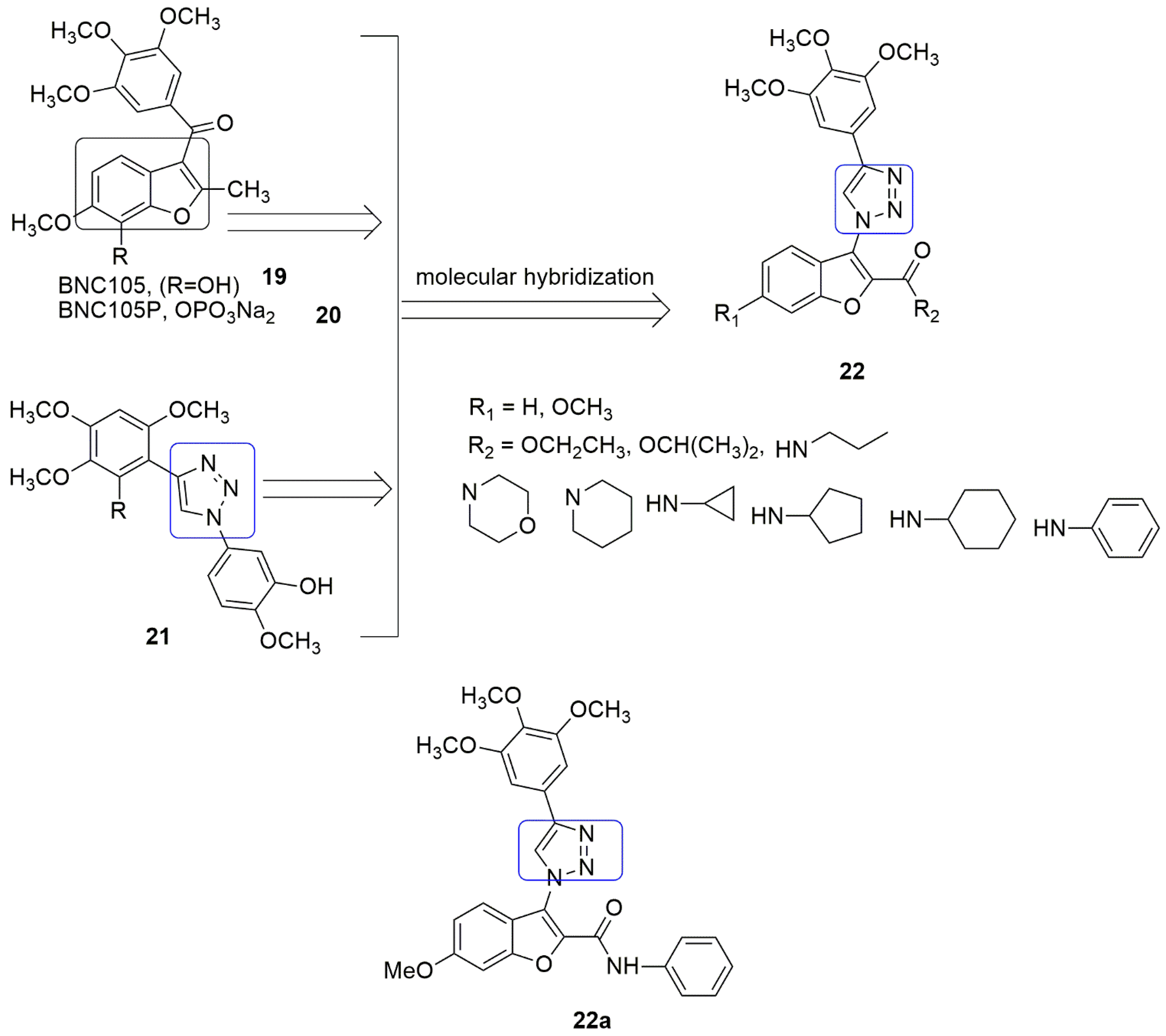 Ijms 23 04001 g009 550