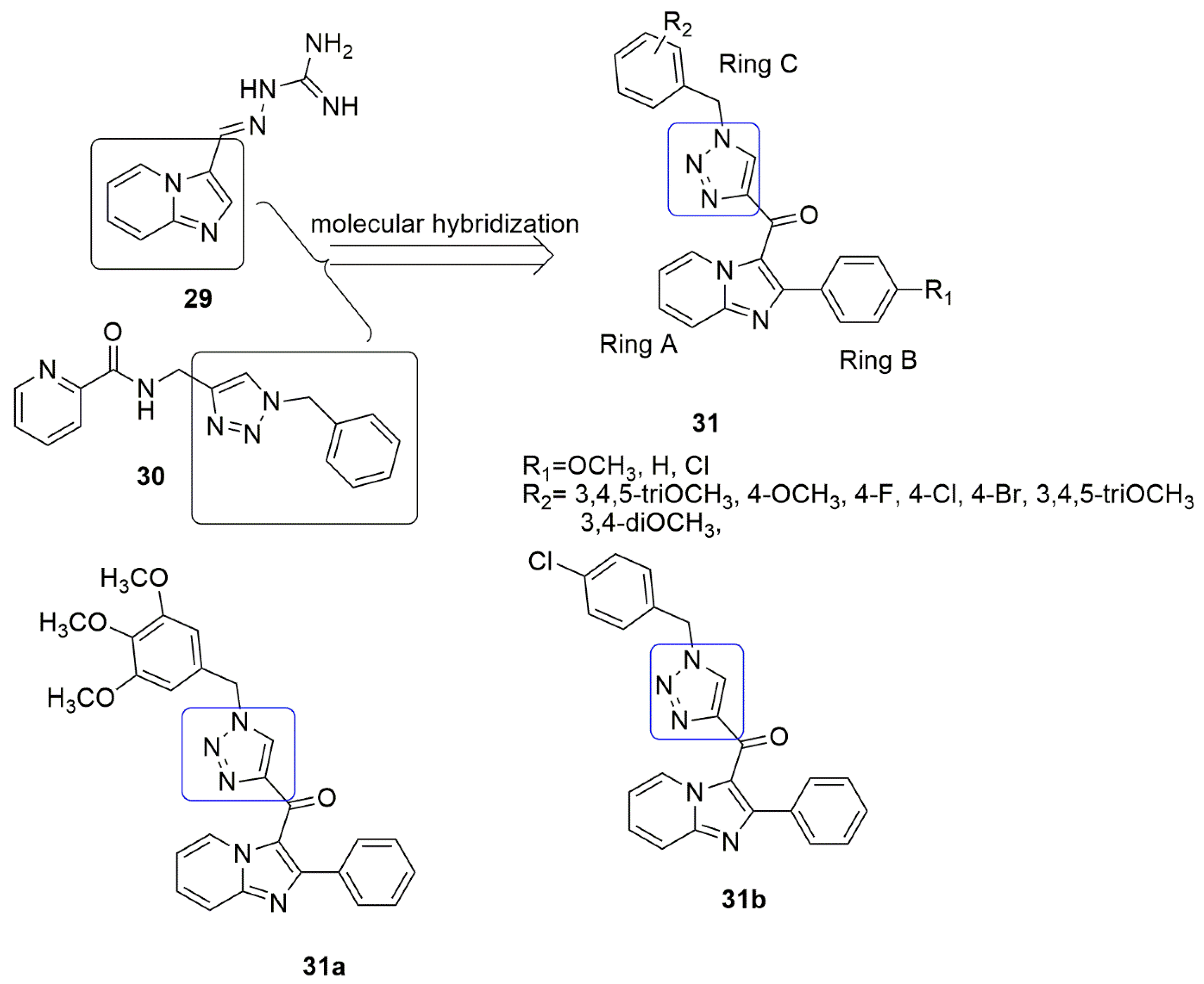 Ijms 23 04001 g012 550