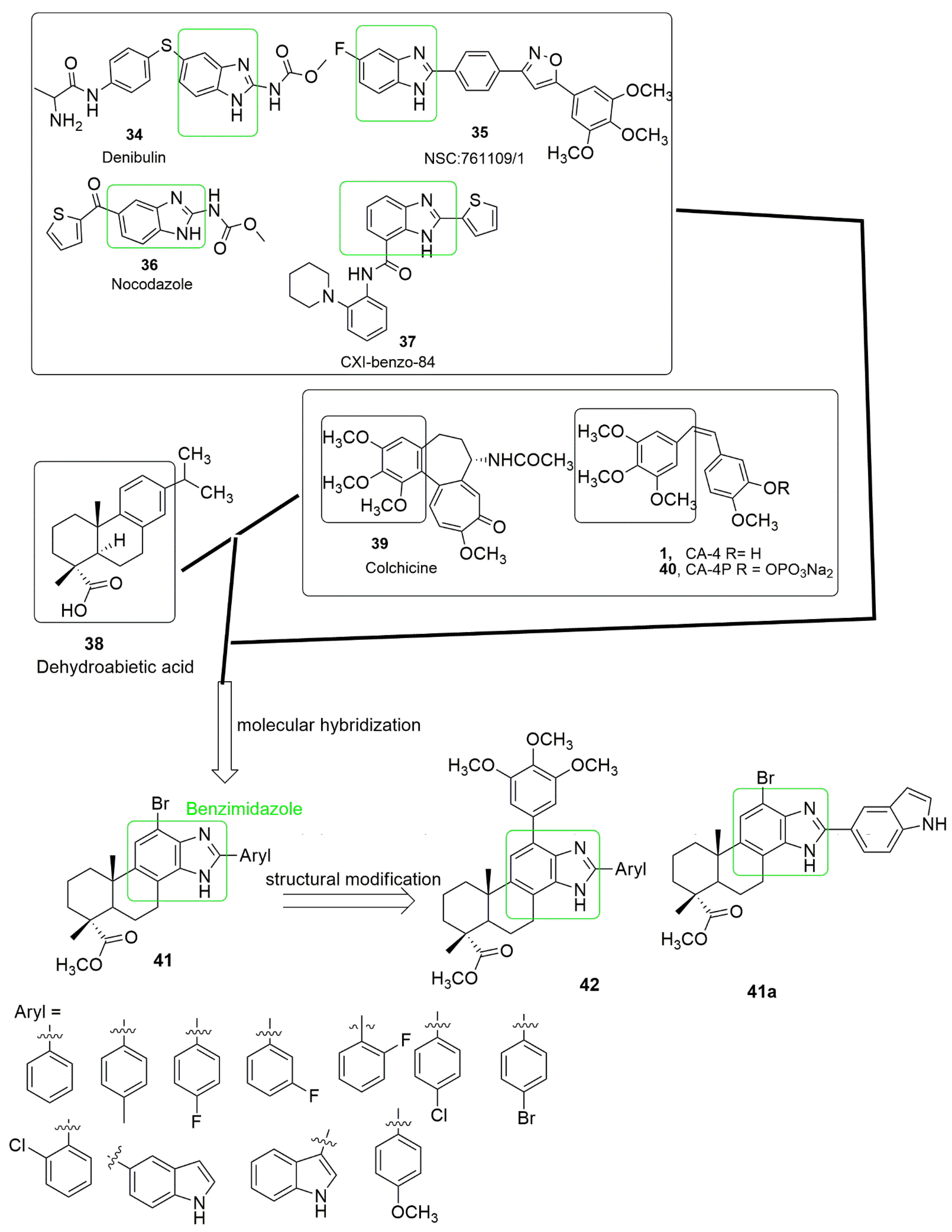 Ijms 23 04001 g014 550