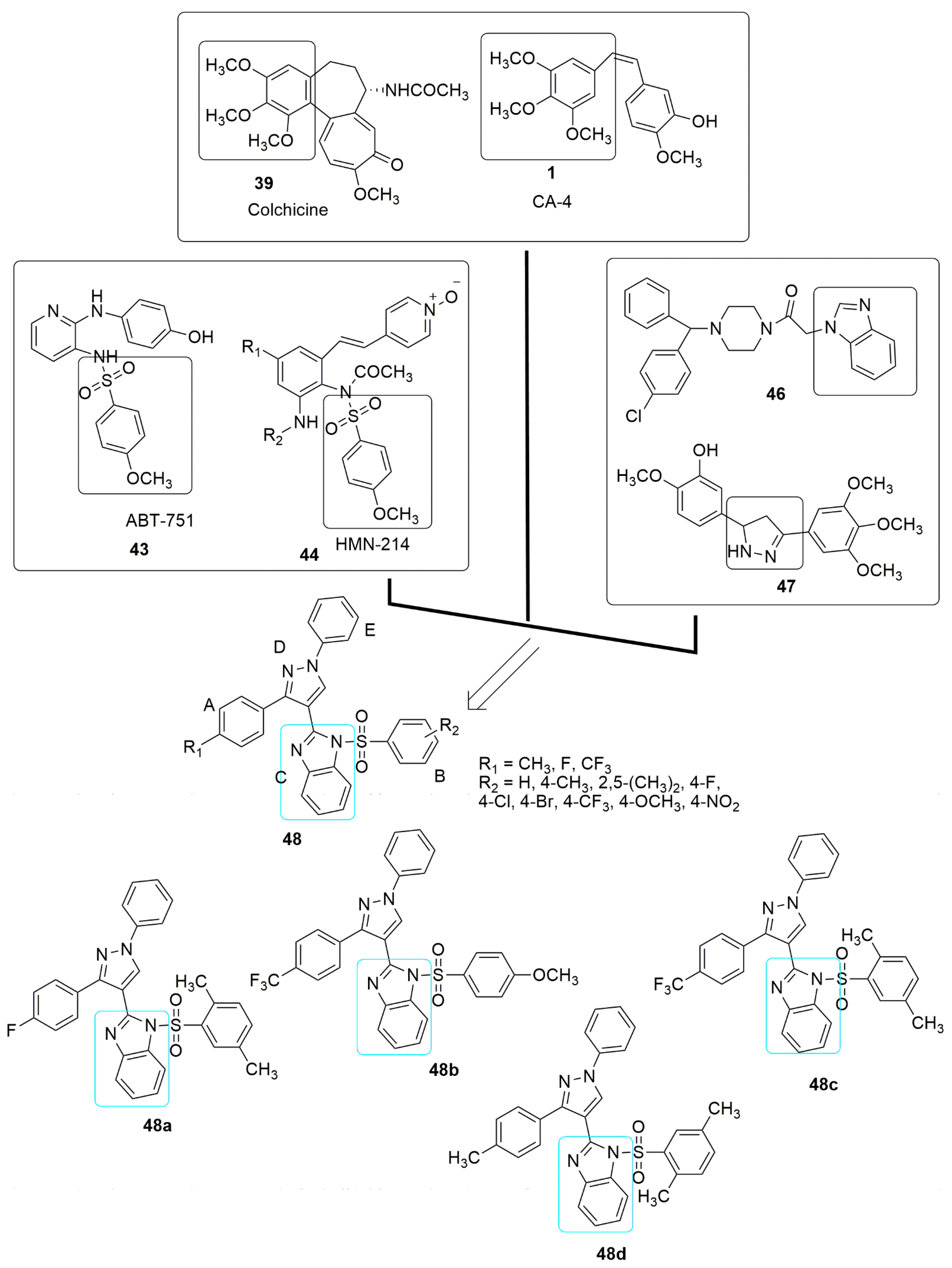 Ijms 23 04001 g016 550