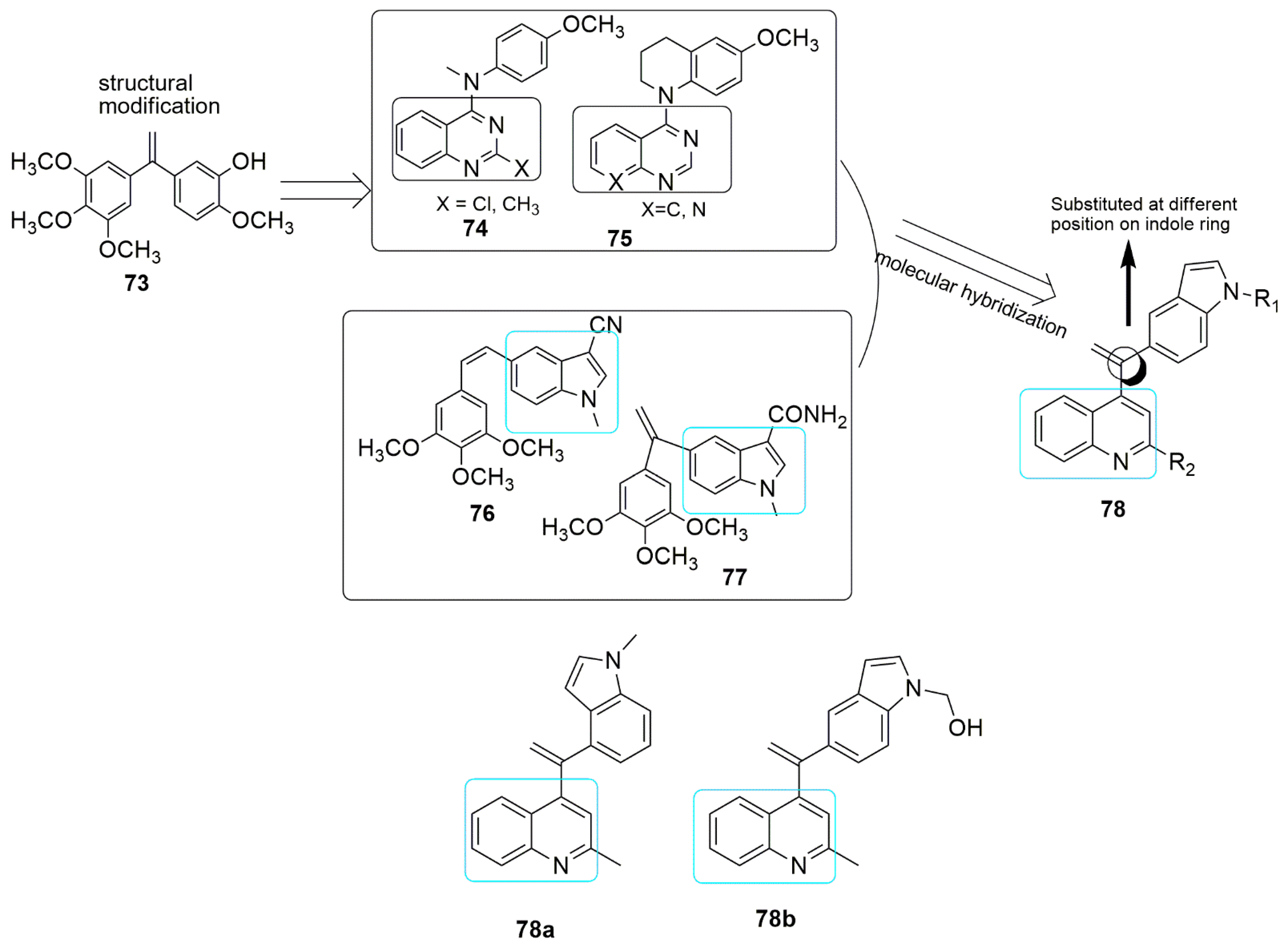 Ijms 23 04001 g022 550