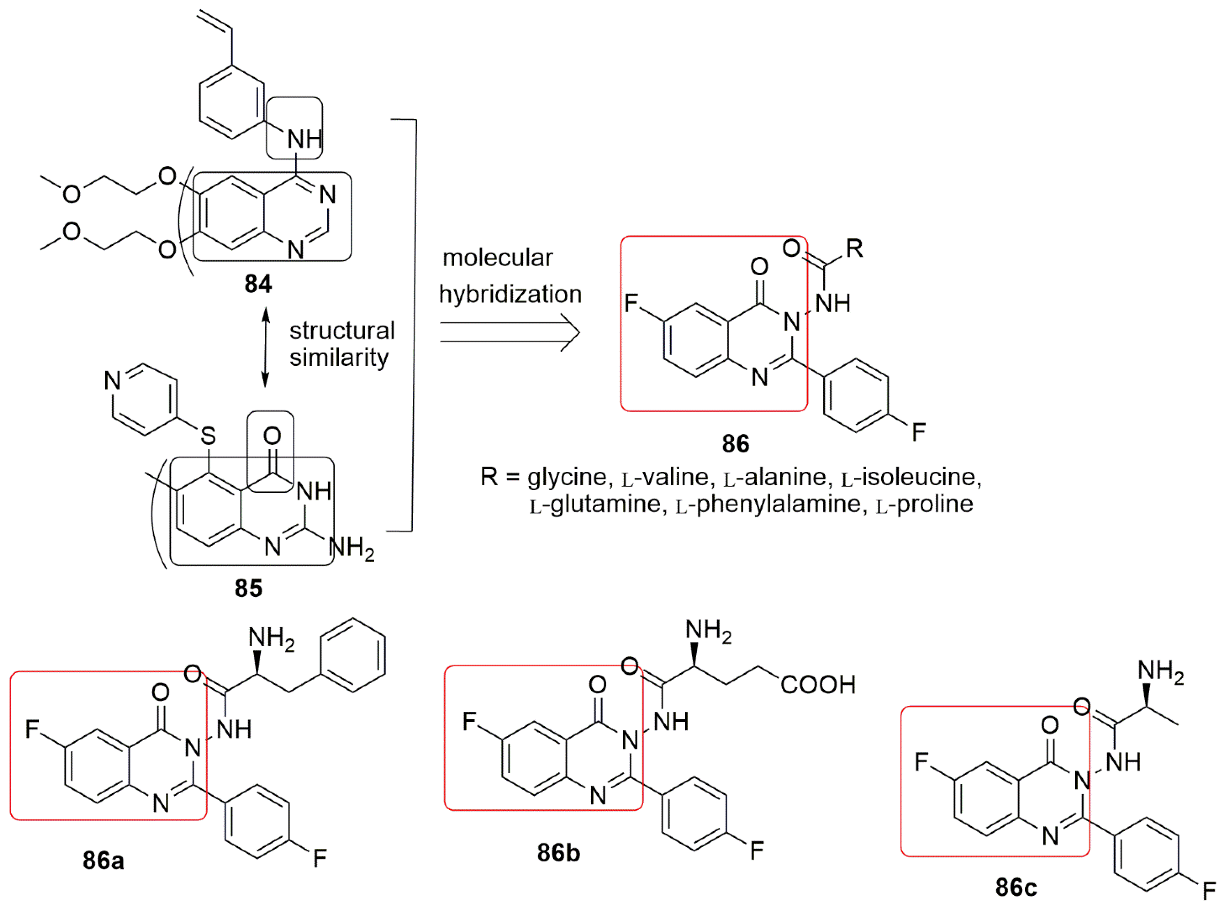 Ijms 23 04001 g025 550