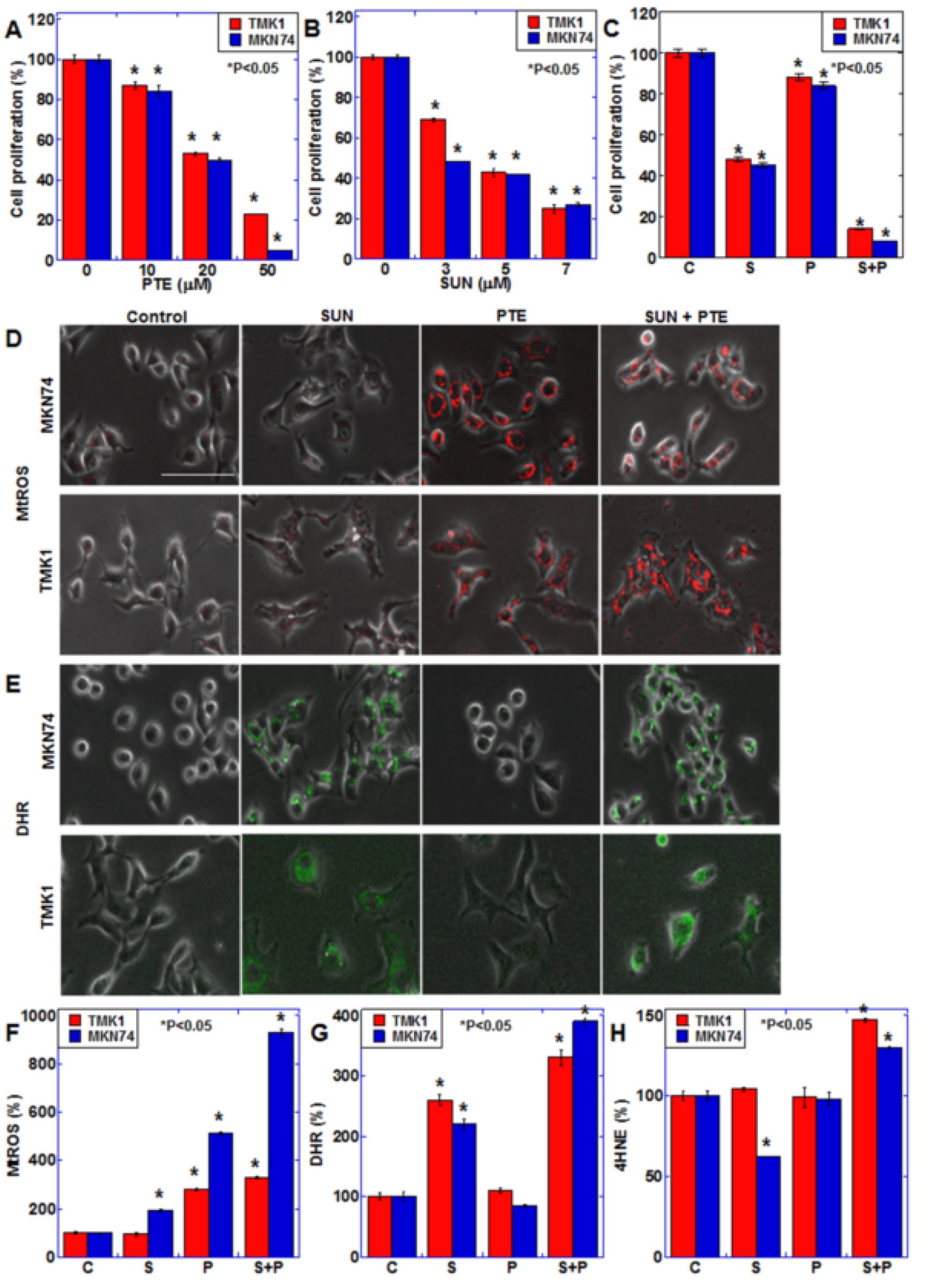 Ijms 23 04002 g001 550