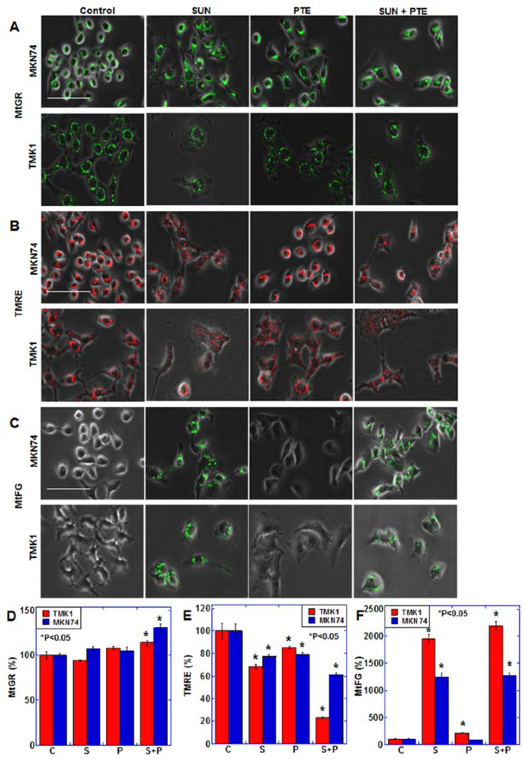 Ijms 23 04002 g002 550